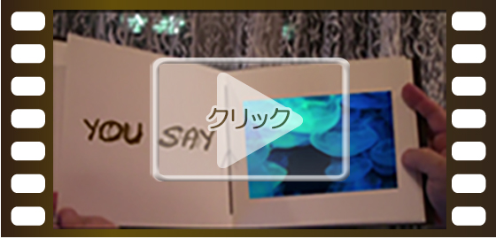 水族館のビデオ