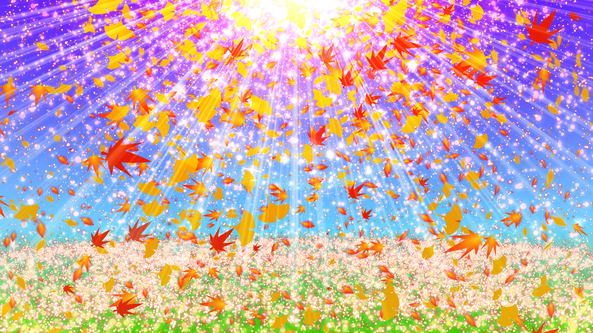 紅葉と空の光（秋）