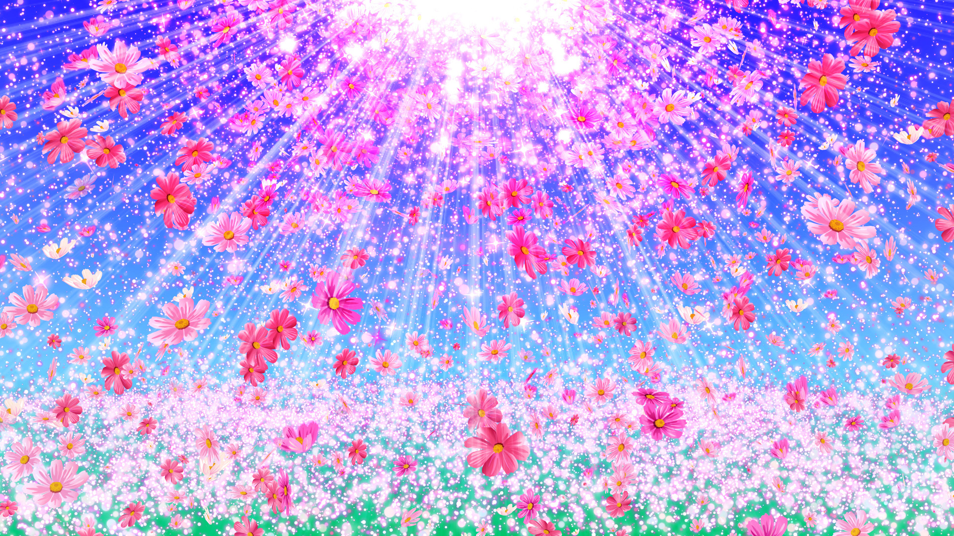 コスモスと空の光（秋）