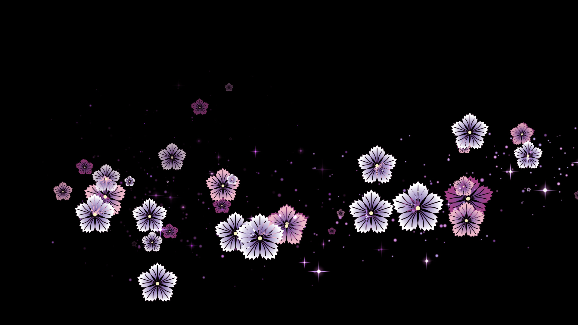 秋の撫子（回転）