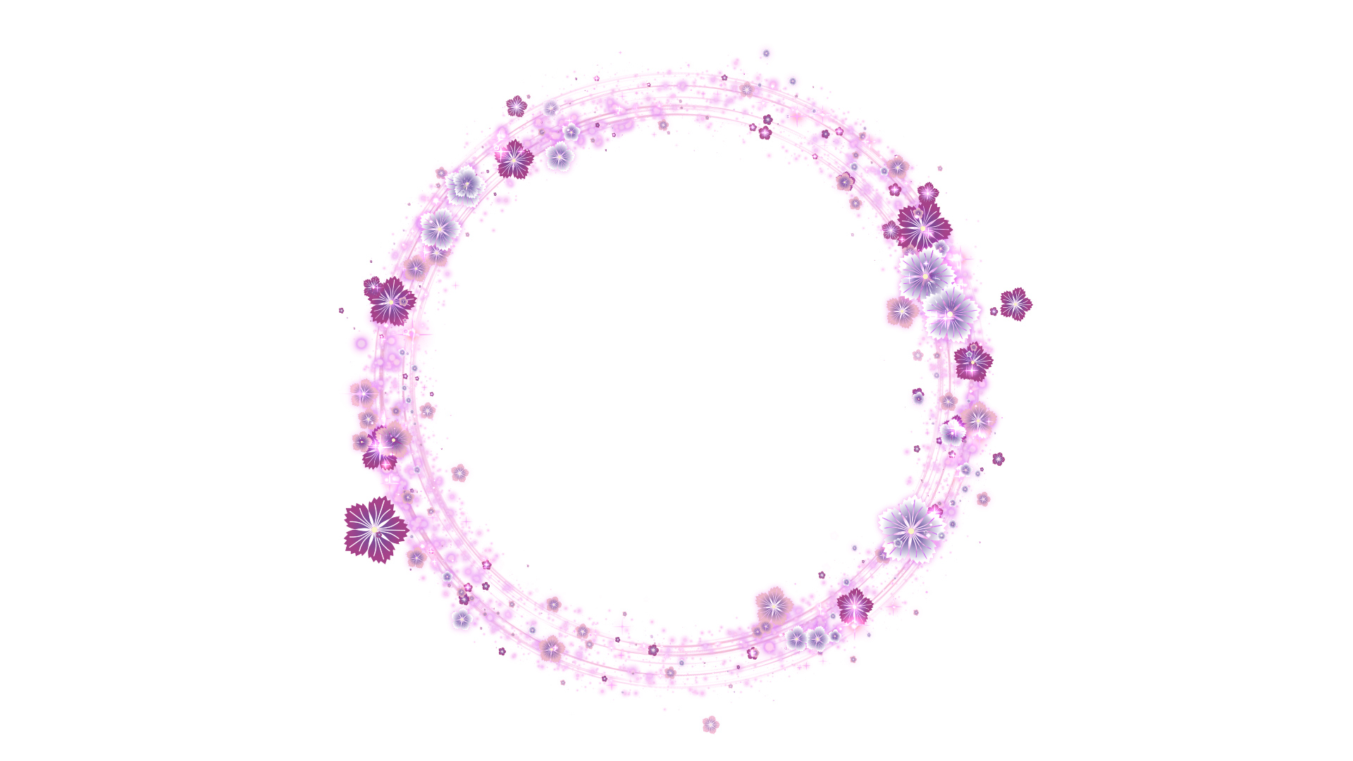 丸く光る秋の撫子-白バック