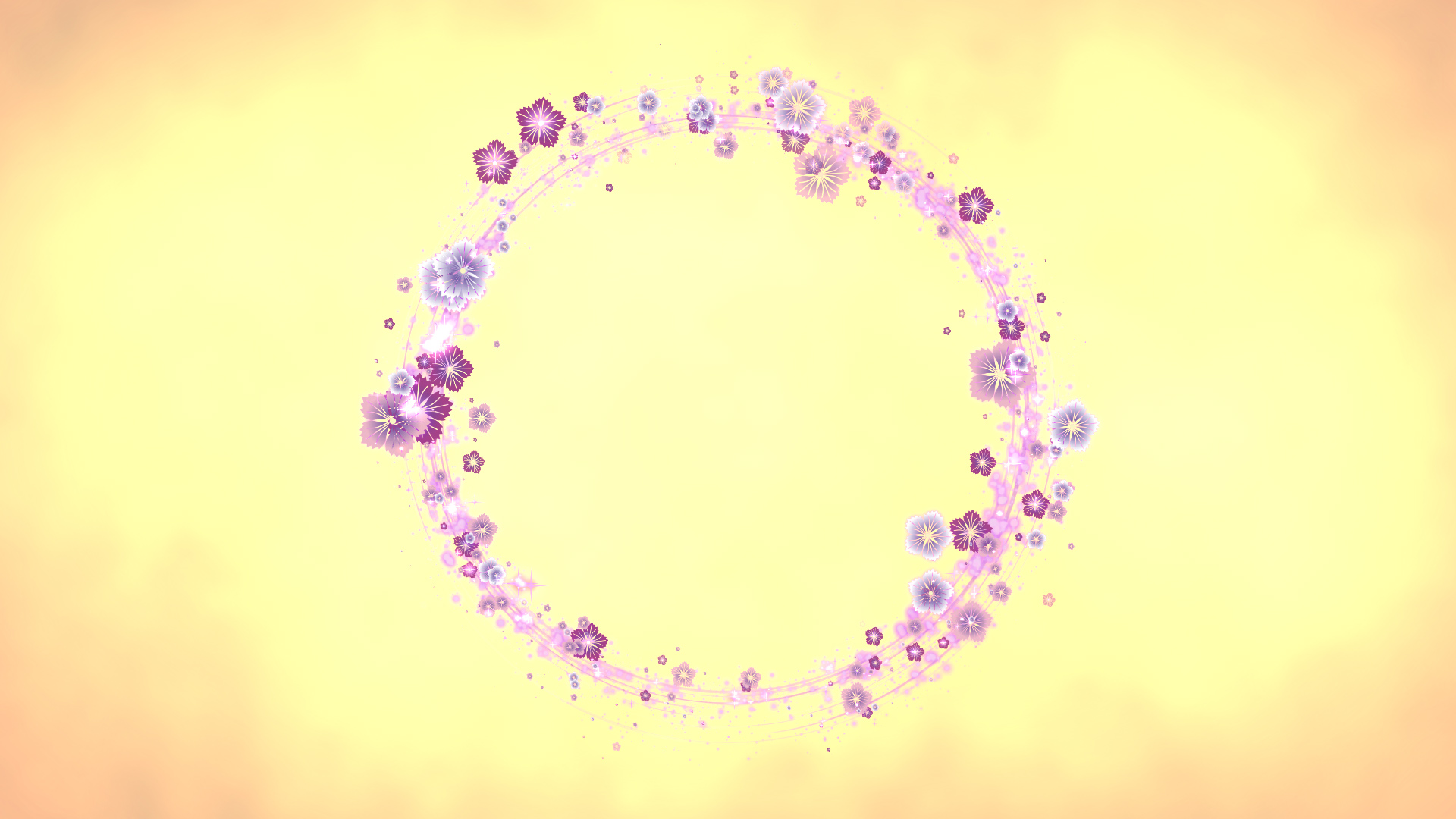 丸く光る秋の撫子-黄色バック