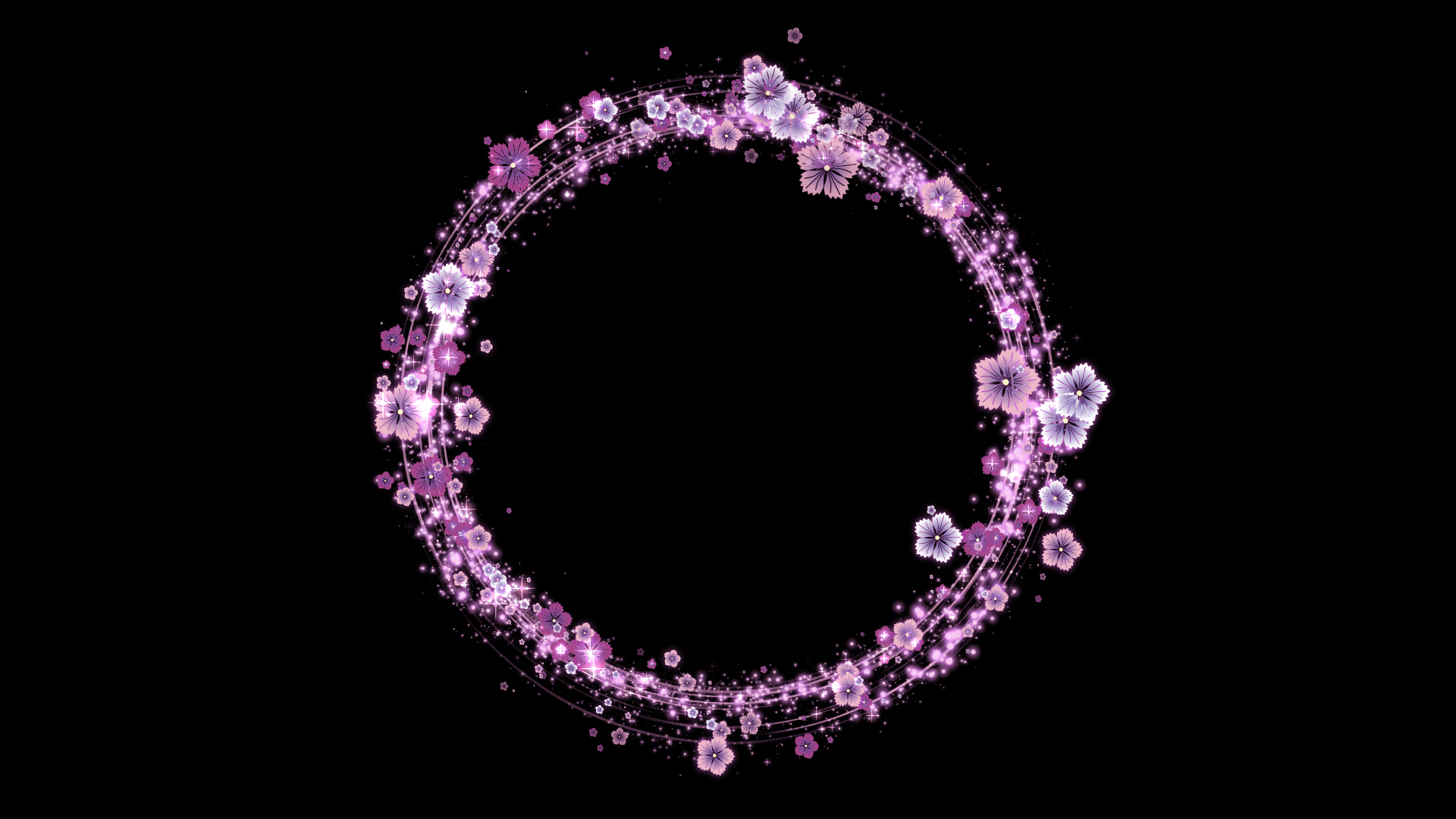 丸く光る秋の撫子