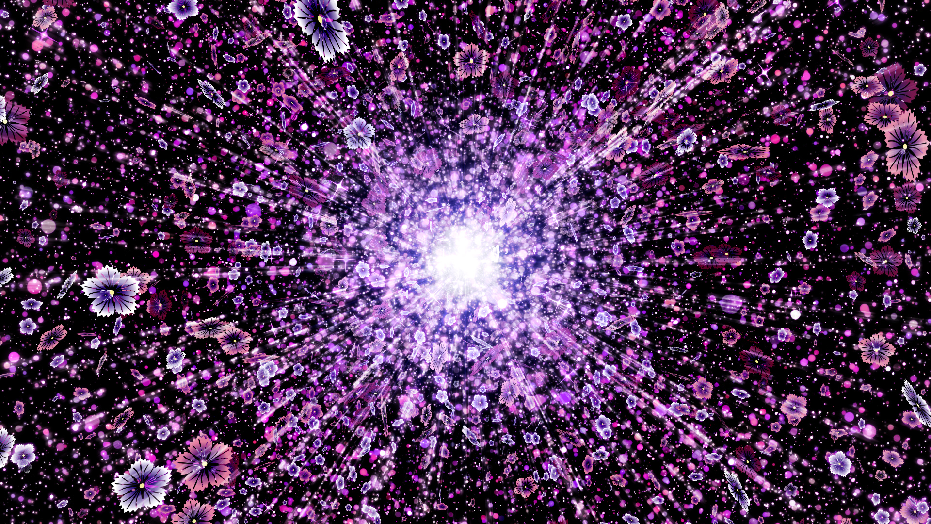 秋の光（撫子）