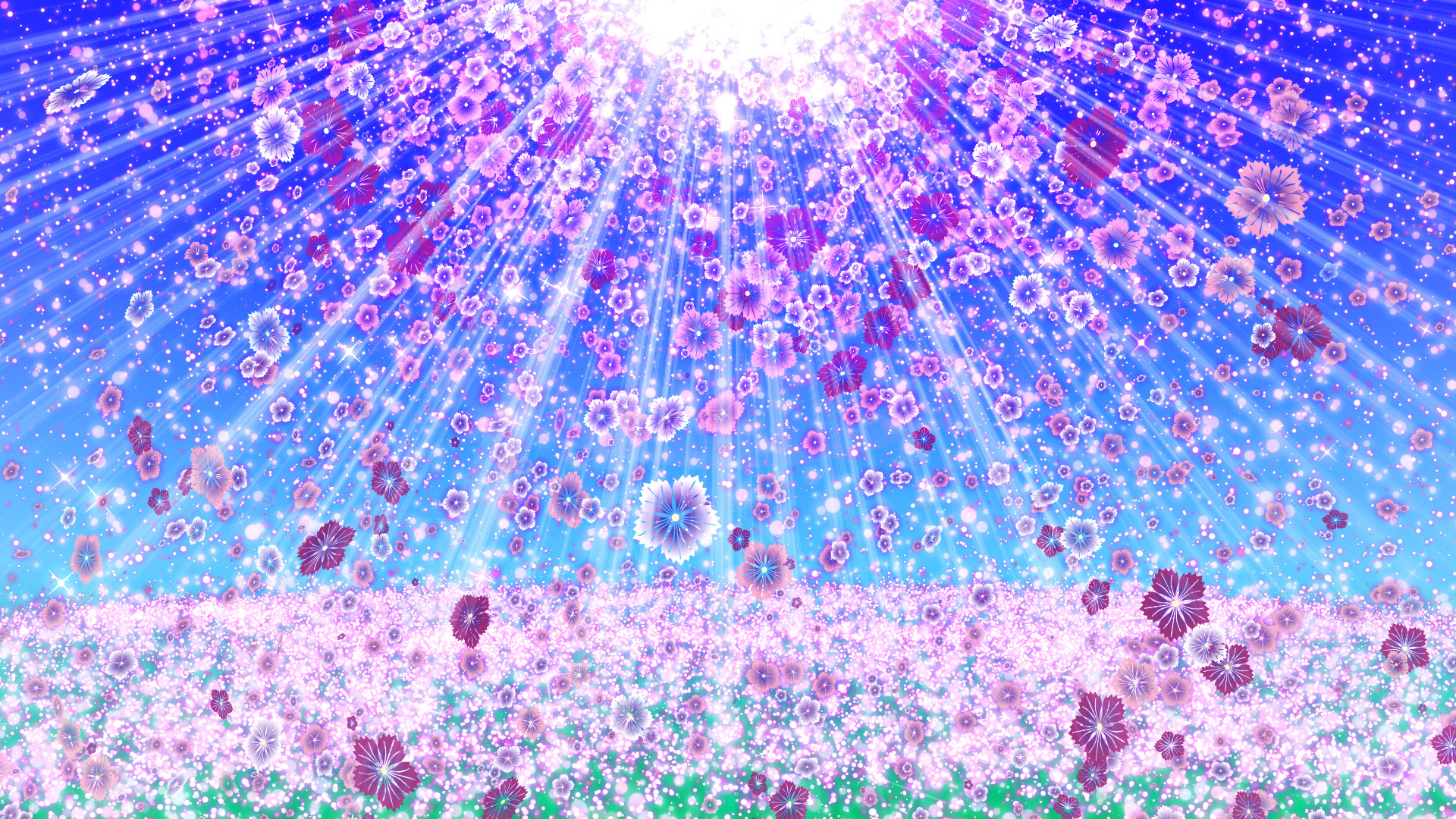 撫子と空の光（秋）