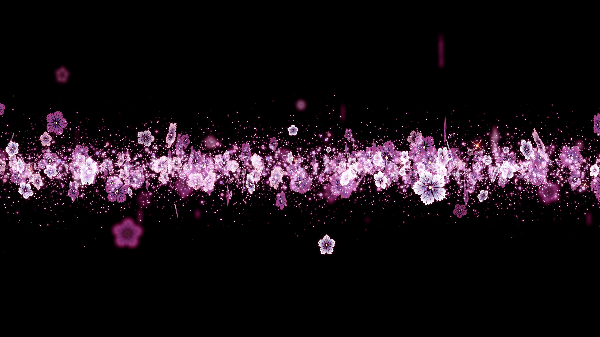 秋の撫子（タイトル用）