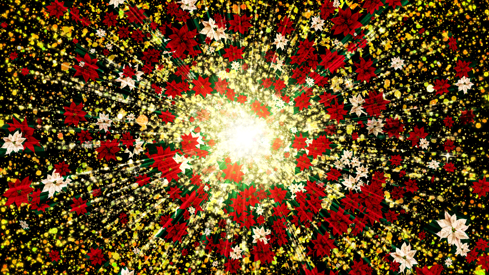 光のクリスマス（ポインセチア）