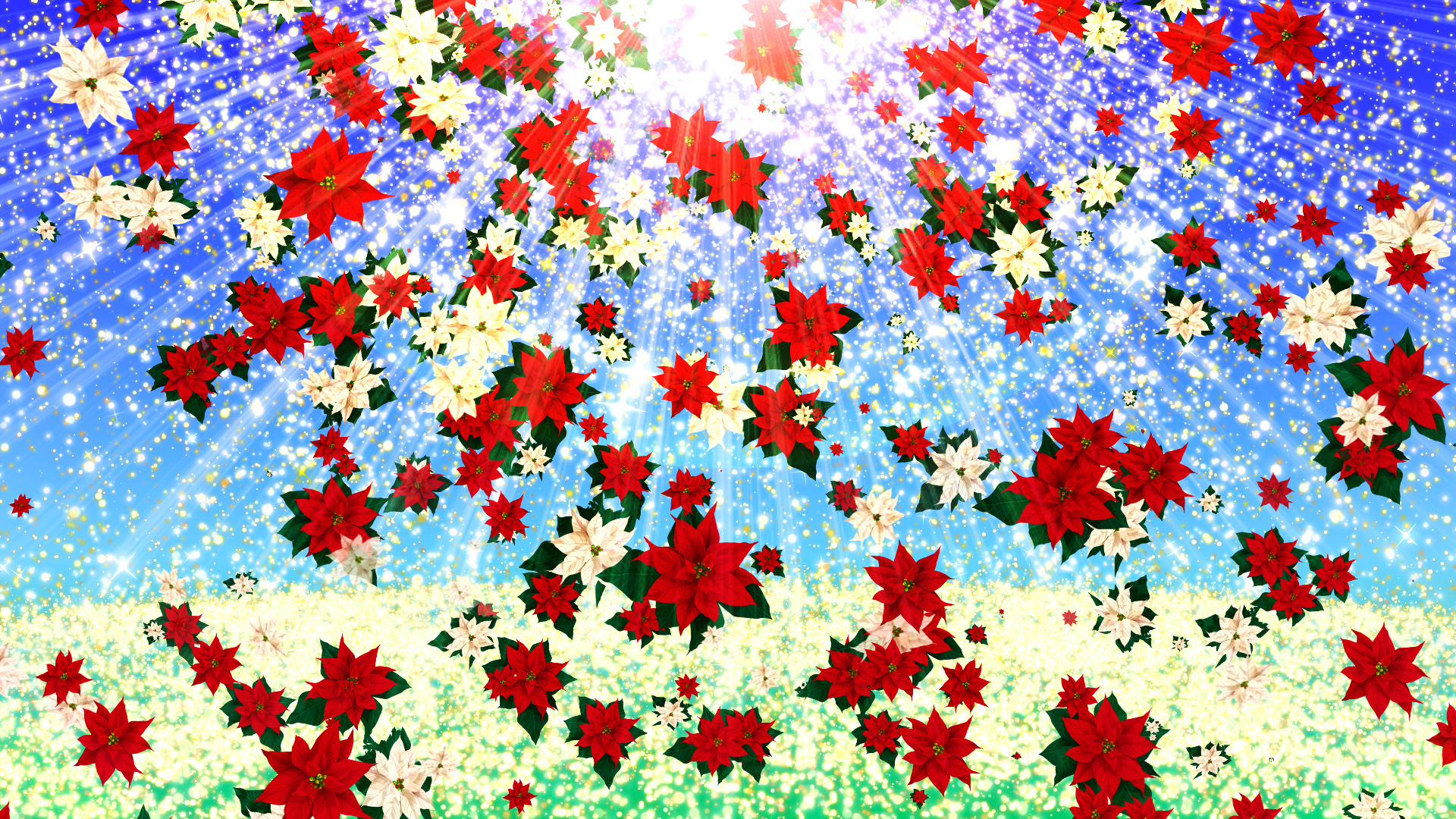 ポインセチアと空の光(クリスマス)