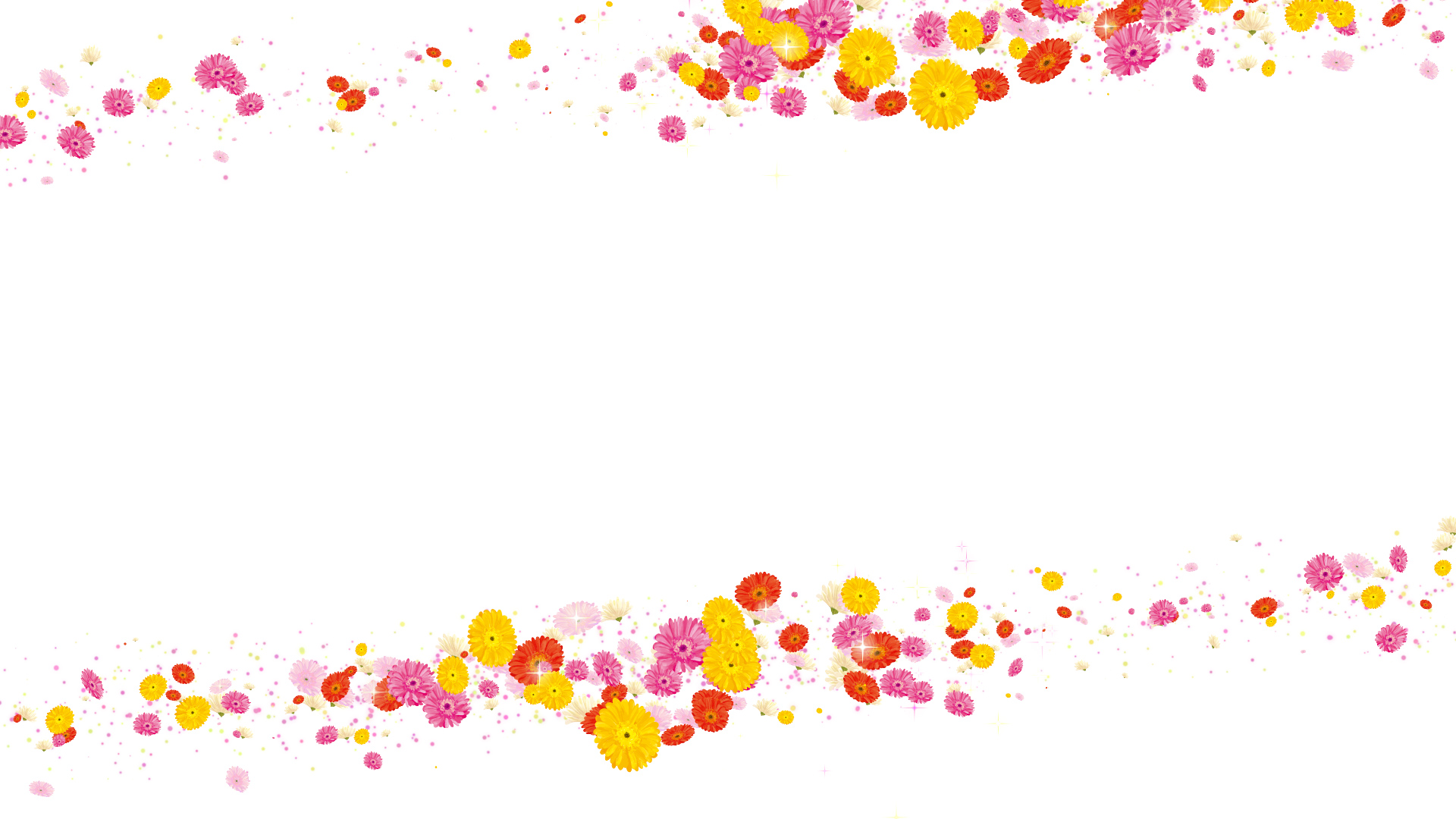 ガーベラ（フレーム）-白い背景