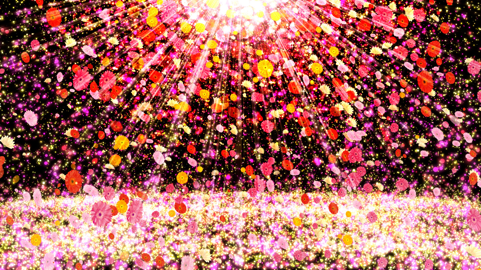 ガーベラが舞い降りる