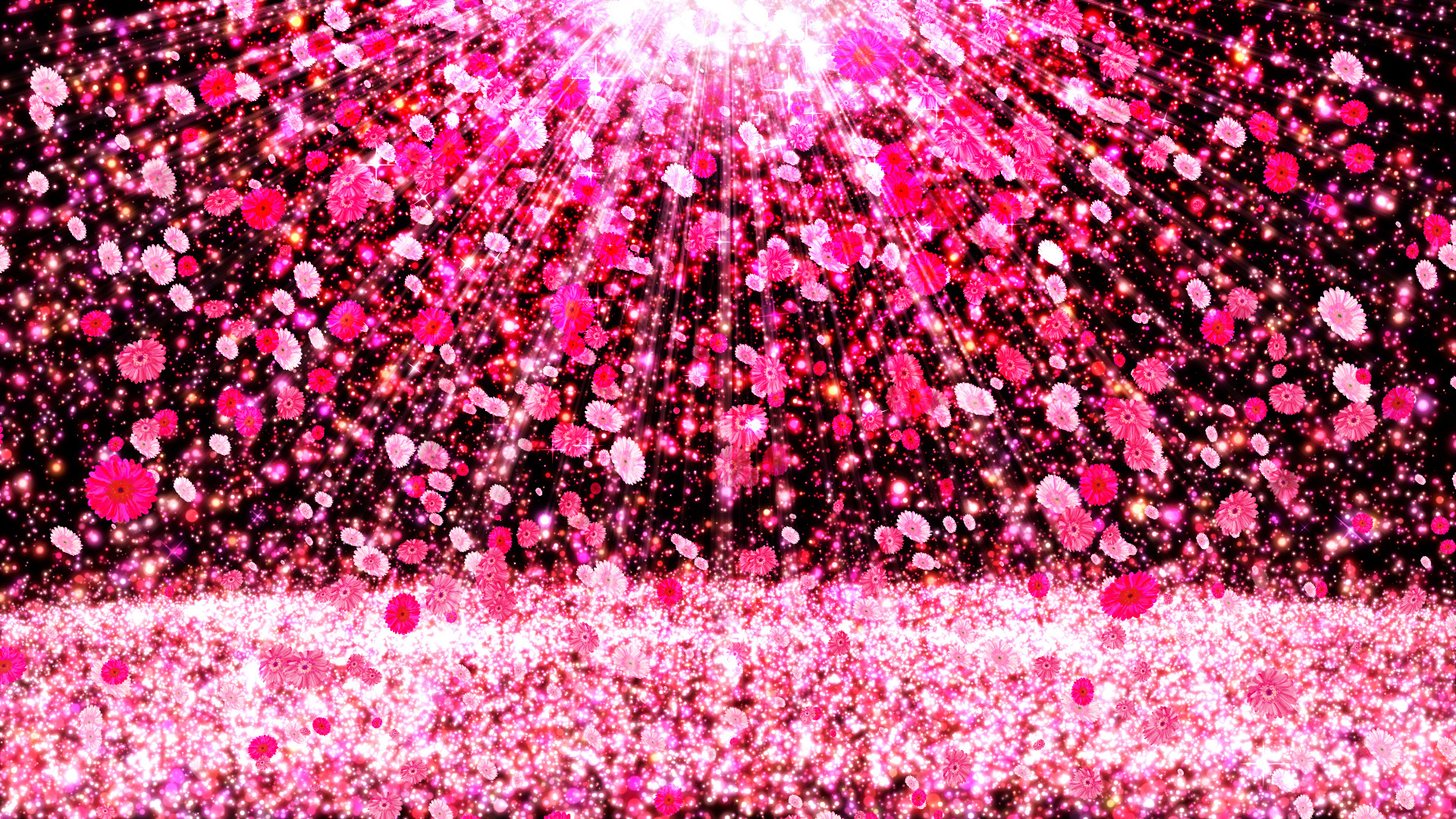 ピンクのガーベラが舞い降りる