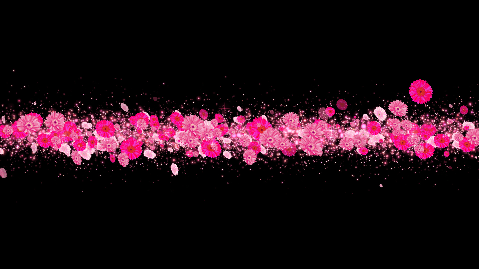 ピンクのガーベラ（タイトル用）