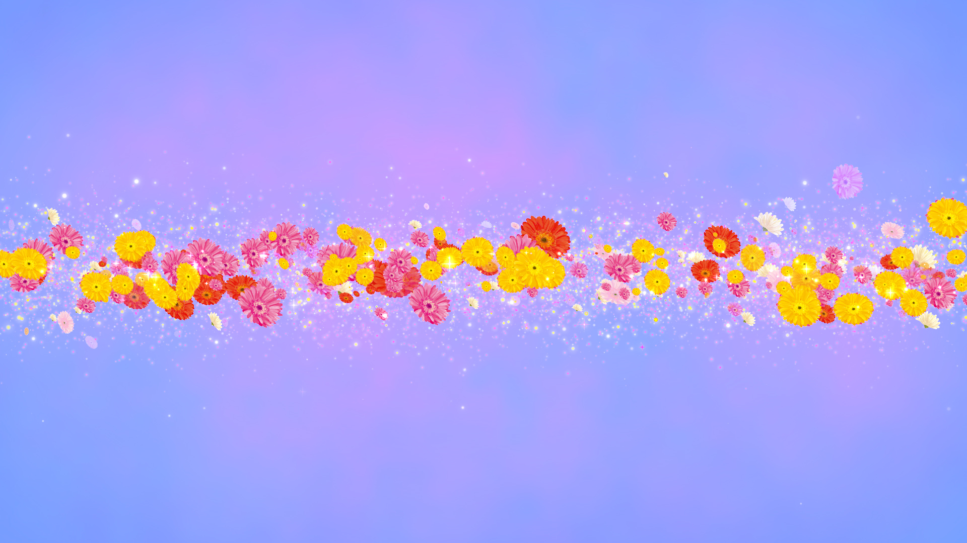 ガーベラ（タイトル用）-青い背景