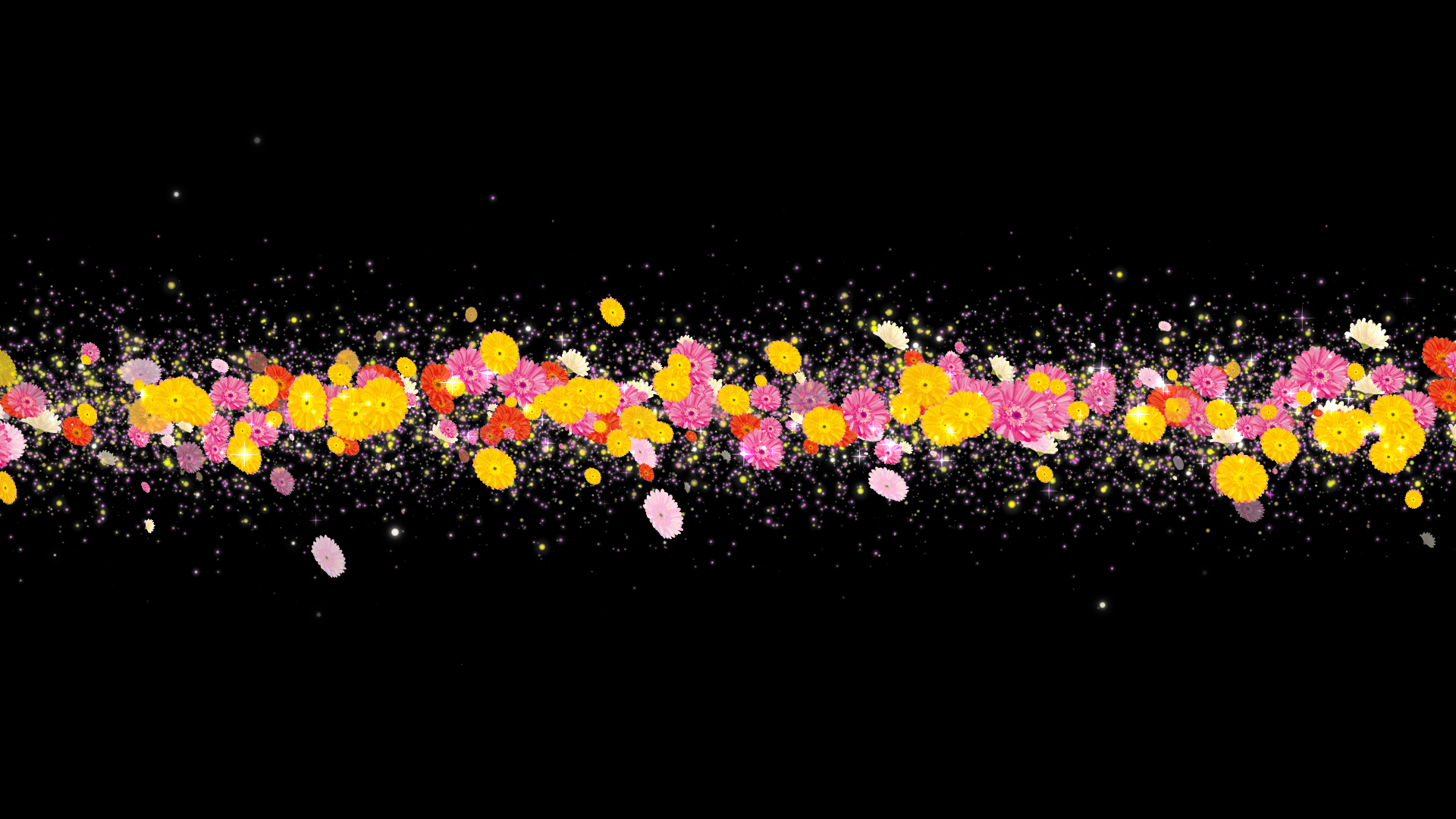 ガーベラ（タイトル用）