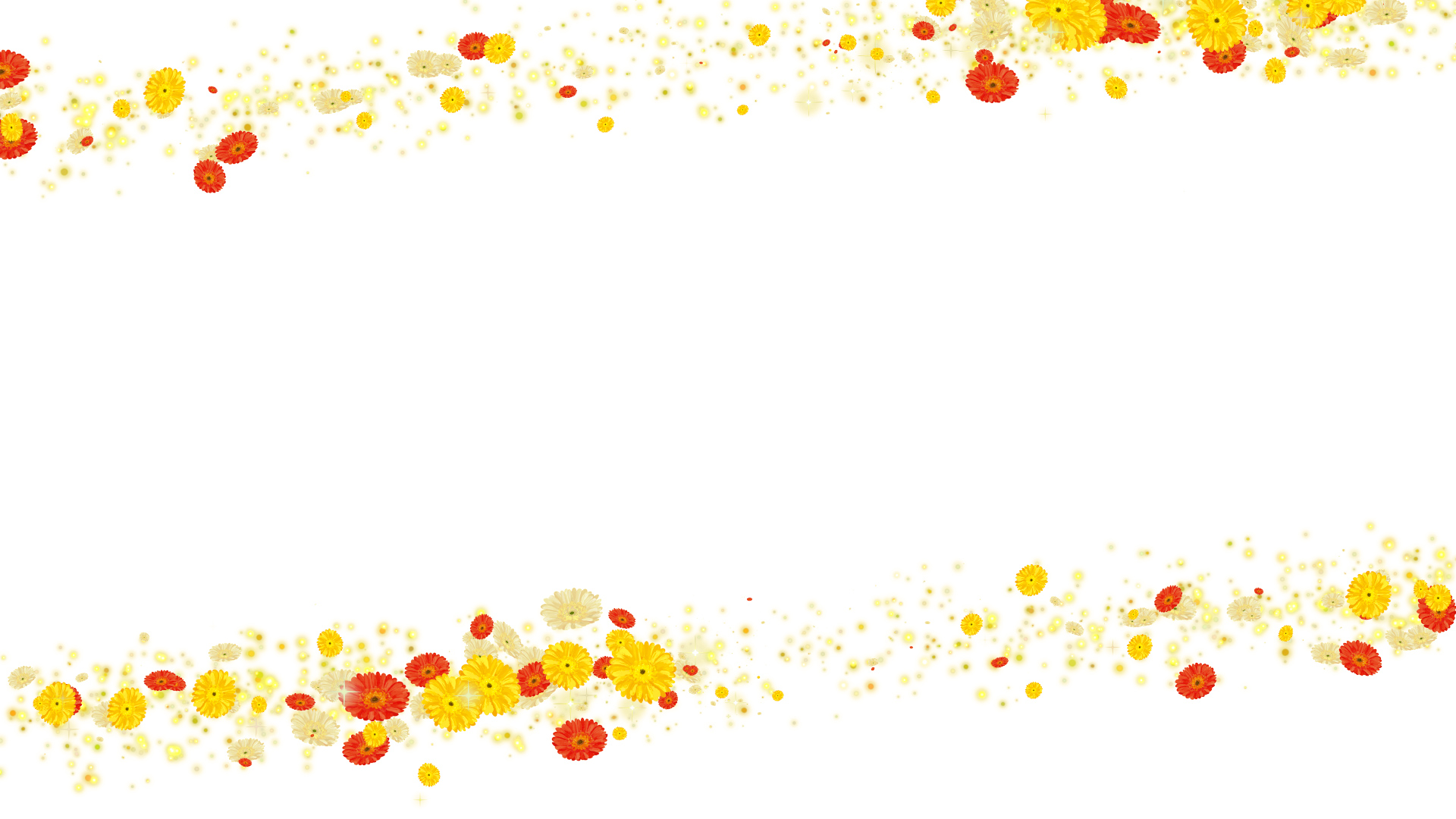 黄色いガーベラ（フレーム）-白い背景