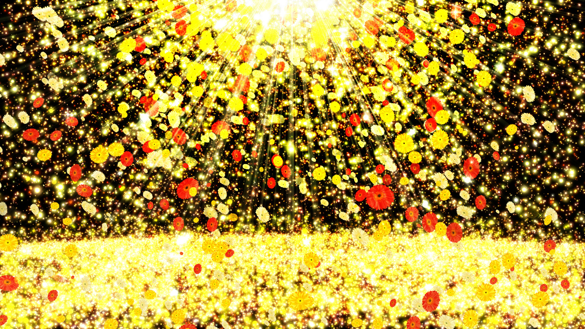 黄色いガーベラが舞い降りる