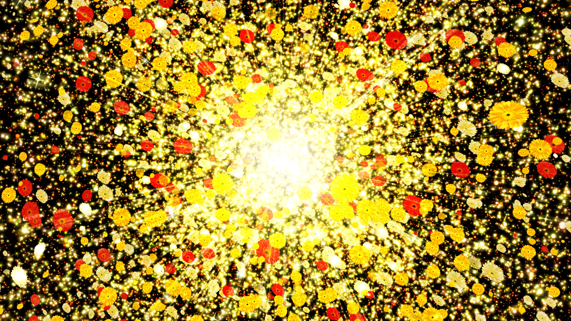 光と黄色いガーベラ