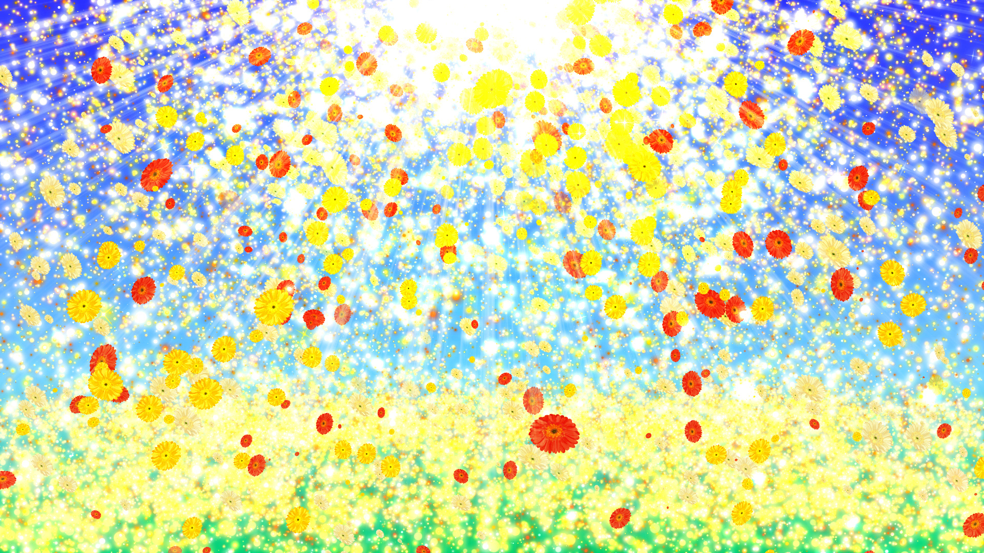 黄色いガーベラと空の光