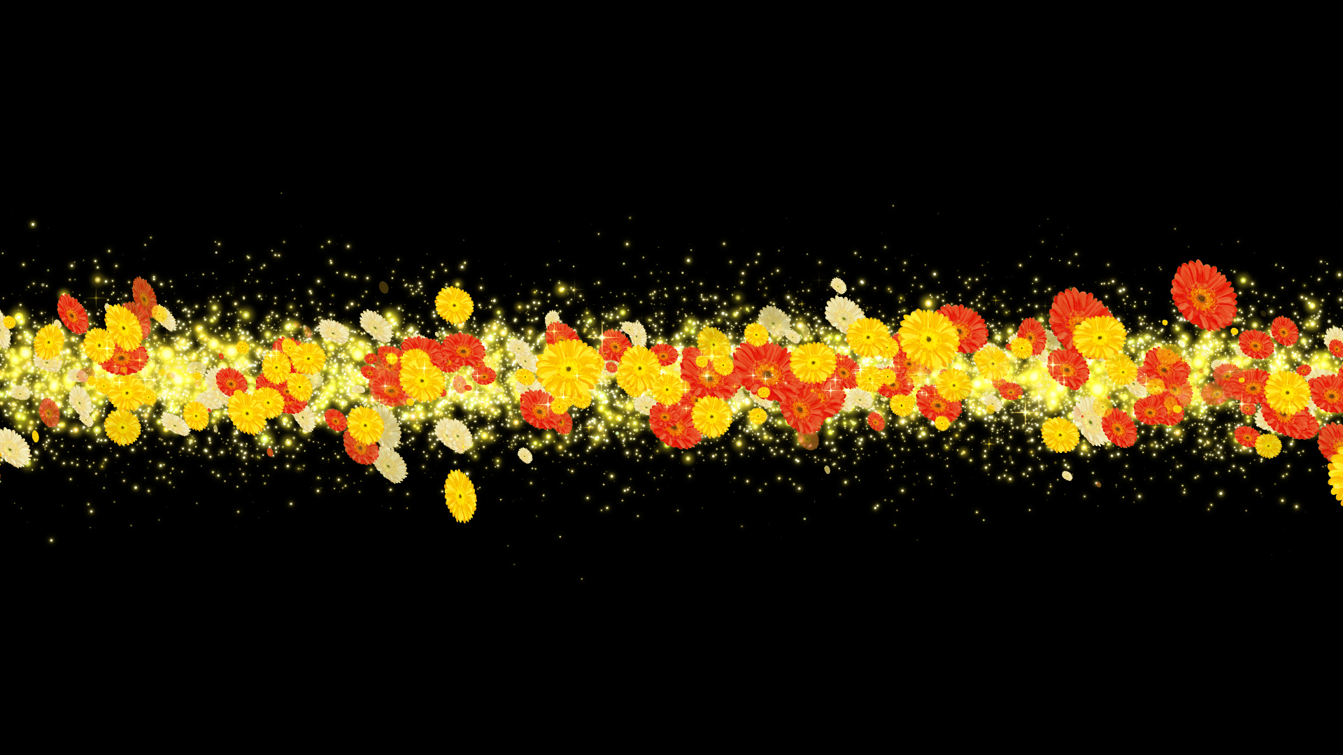 黄色いガーベラ（タイトル用）