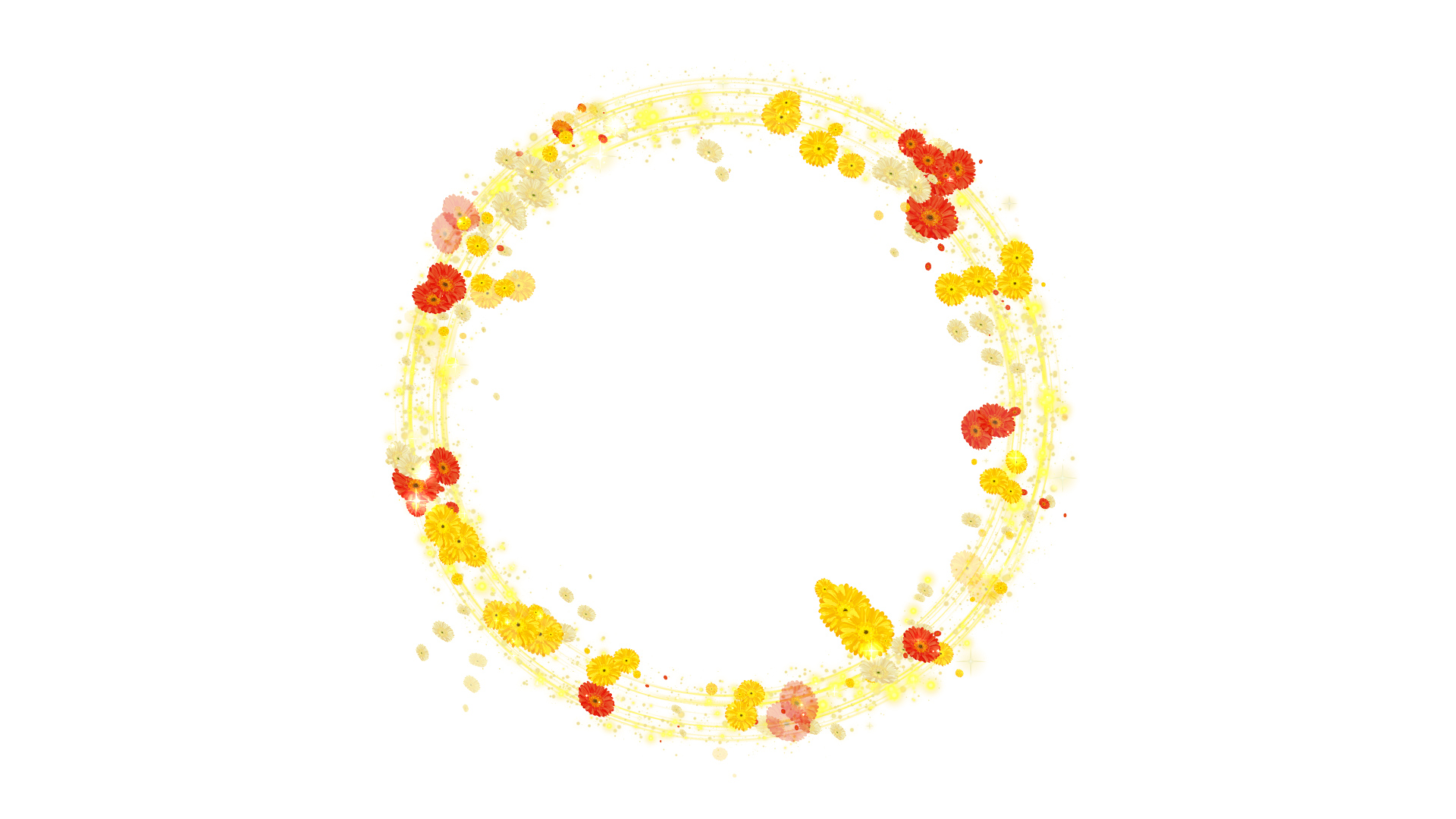 光る黄色いガーベラのリース-白い背景