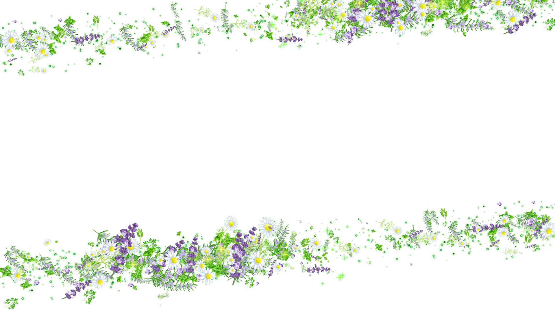 ハーブ（フレーム）-白い背景