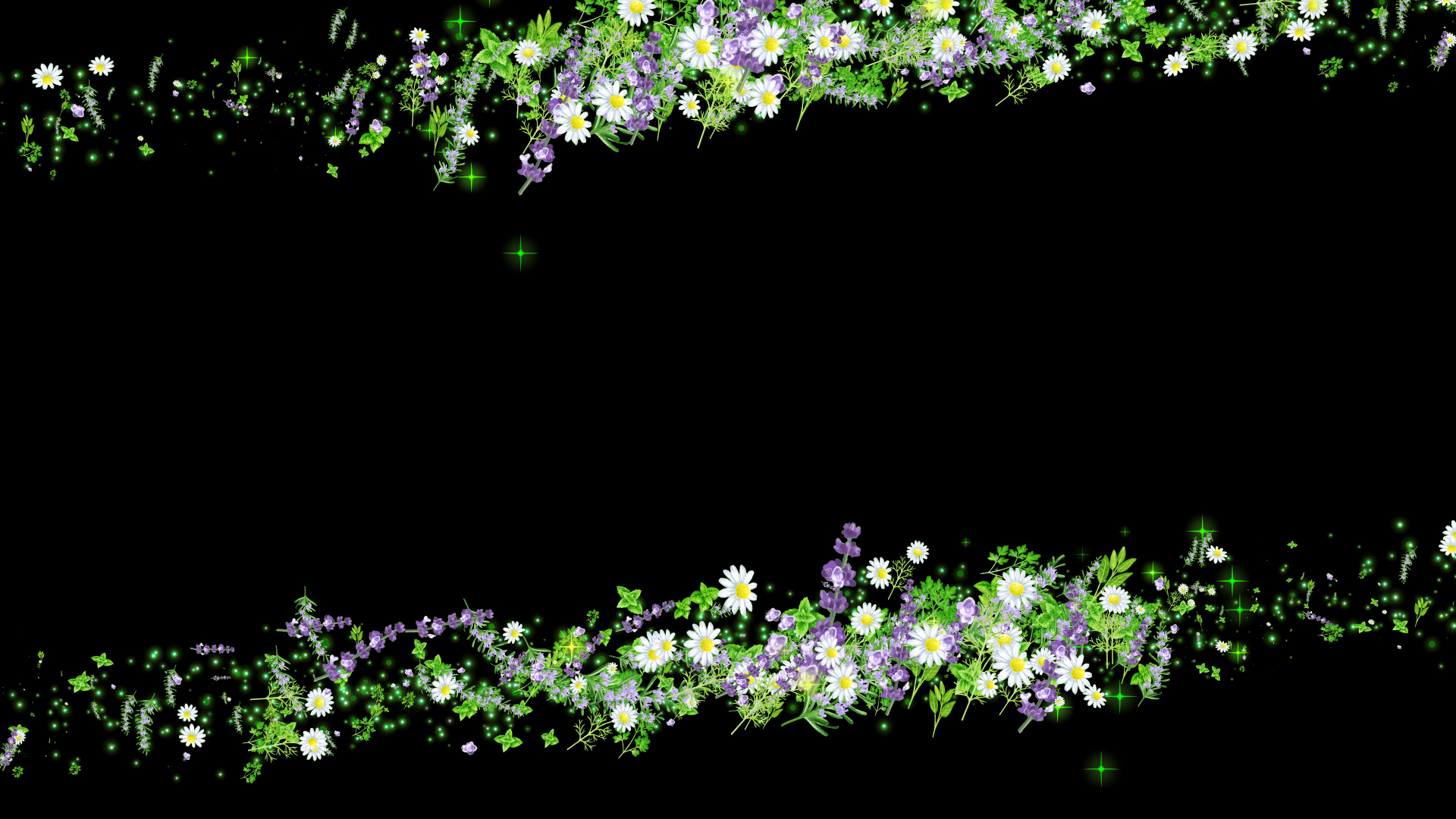 ハーブ（フレーム）