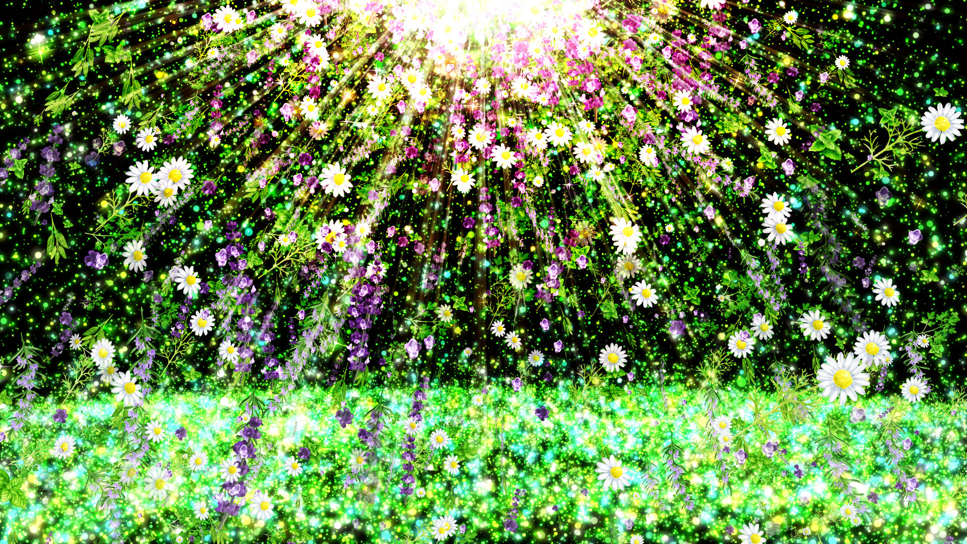 ハーブが舞い降りる