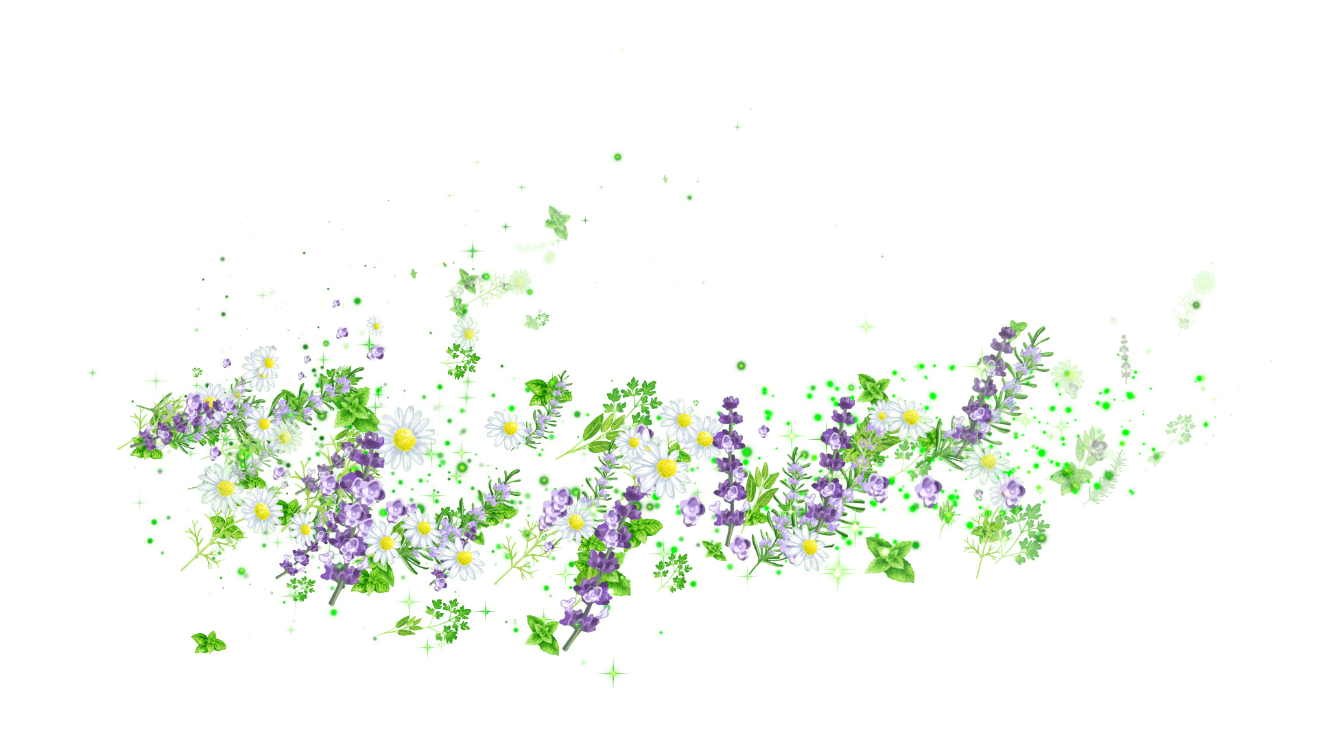 ハーブ（回転）-白い背景