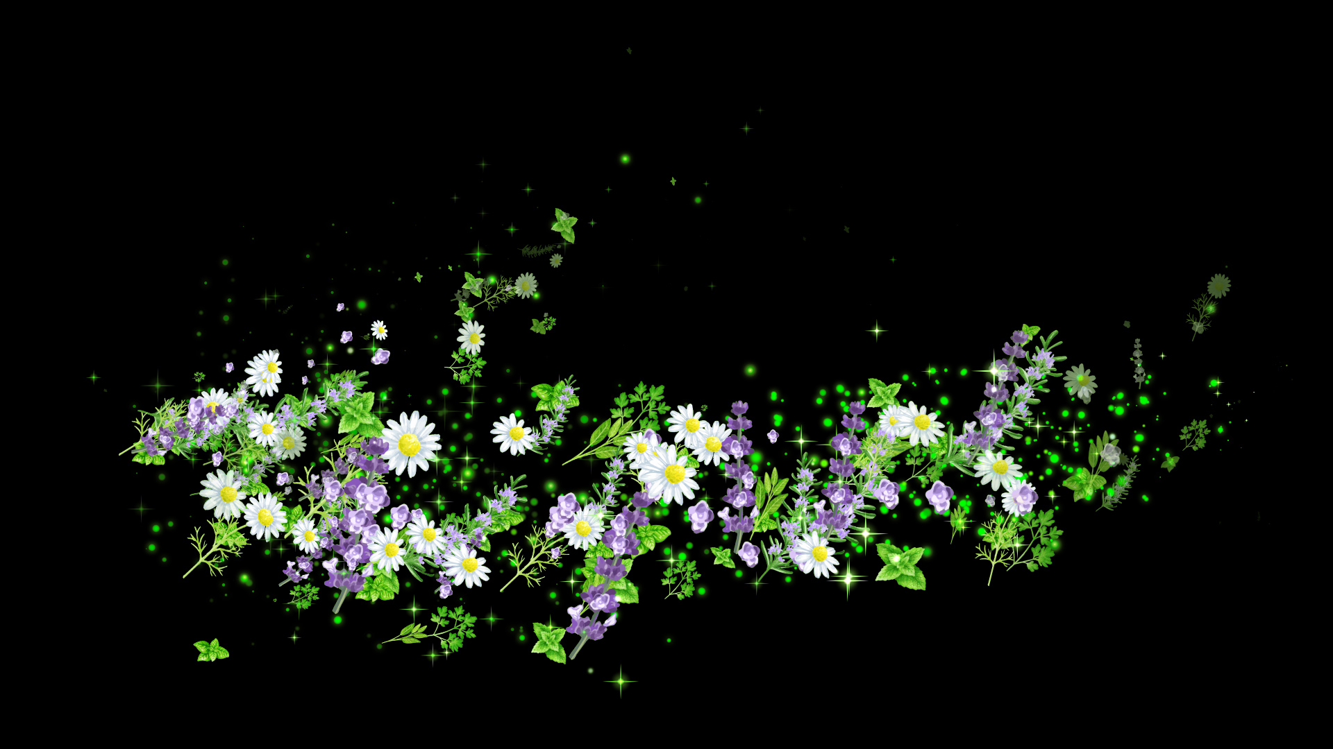 ハーブ（回転）