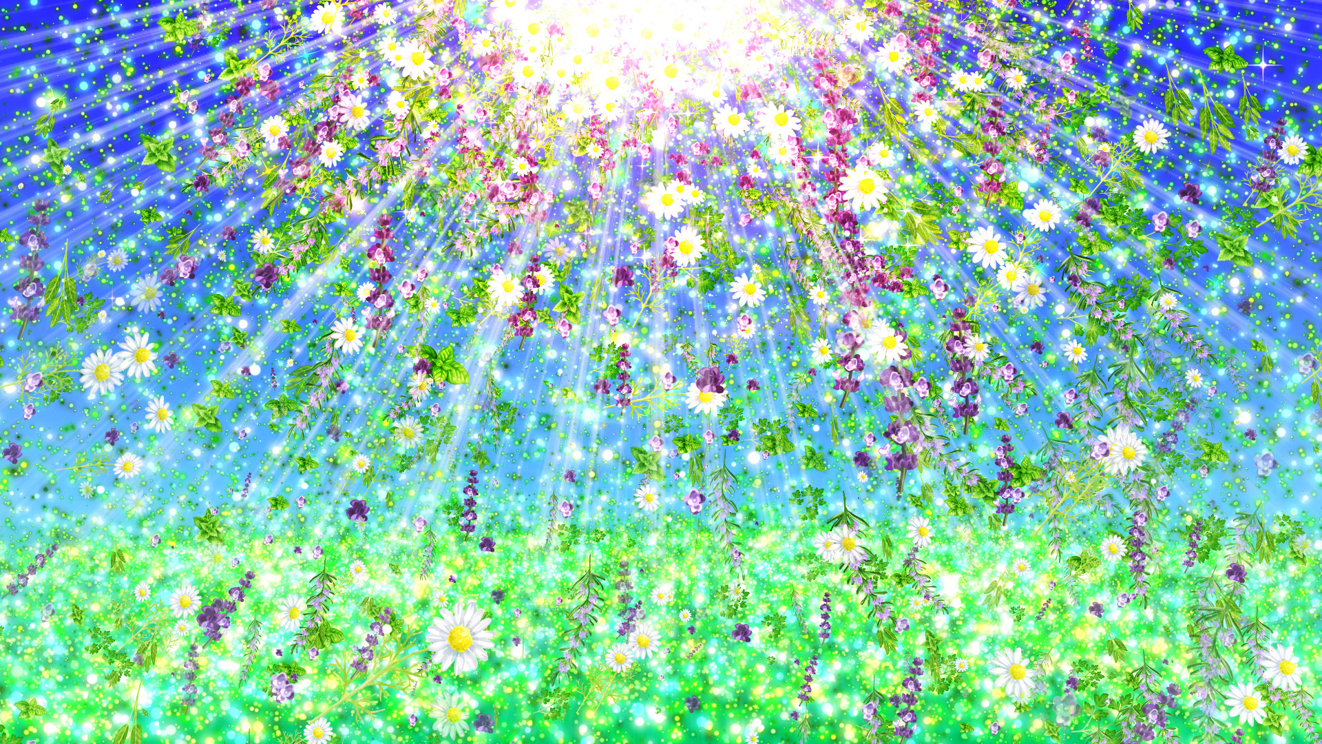 ハーブと空の光