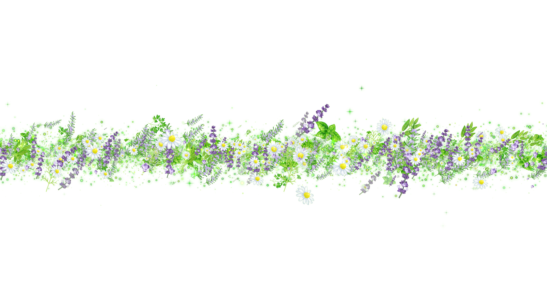 ハーブ（タイトル用）-白い背景