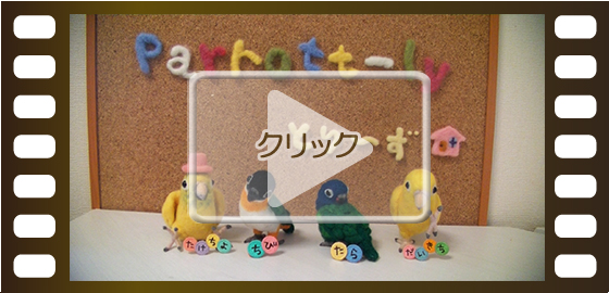 ペットの動画編集作品