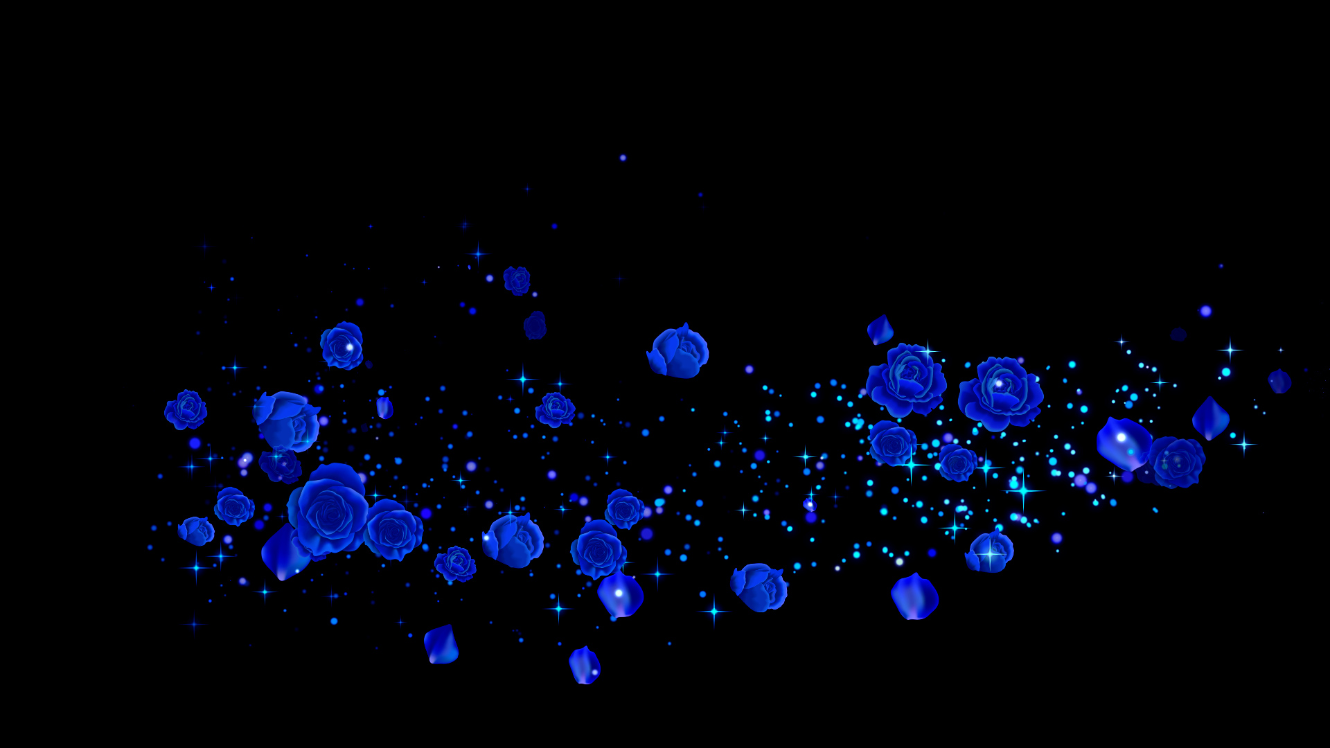 春の青いバラ（回転）