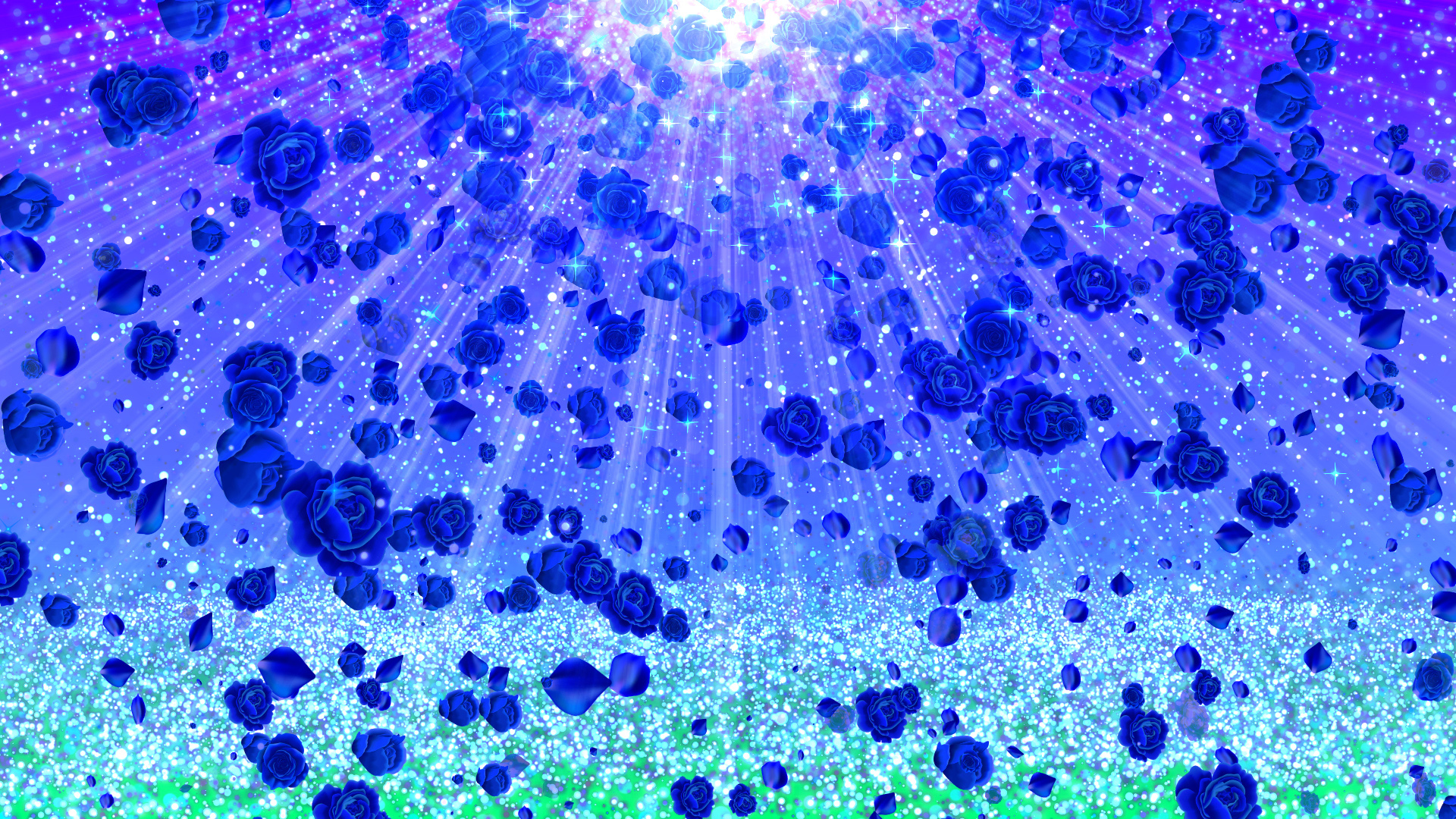 青いバラと空の光（春）