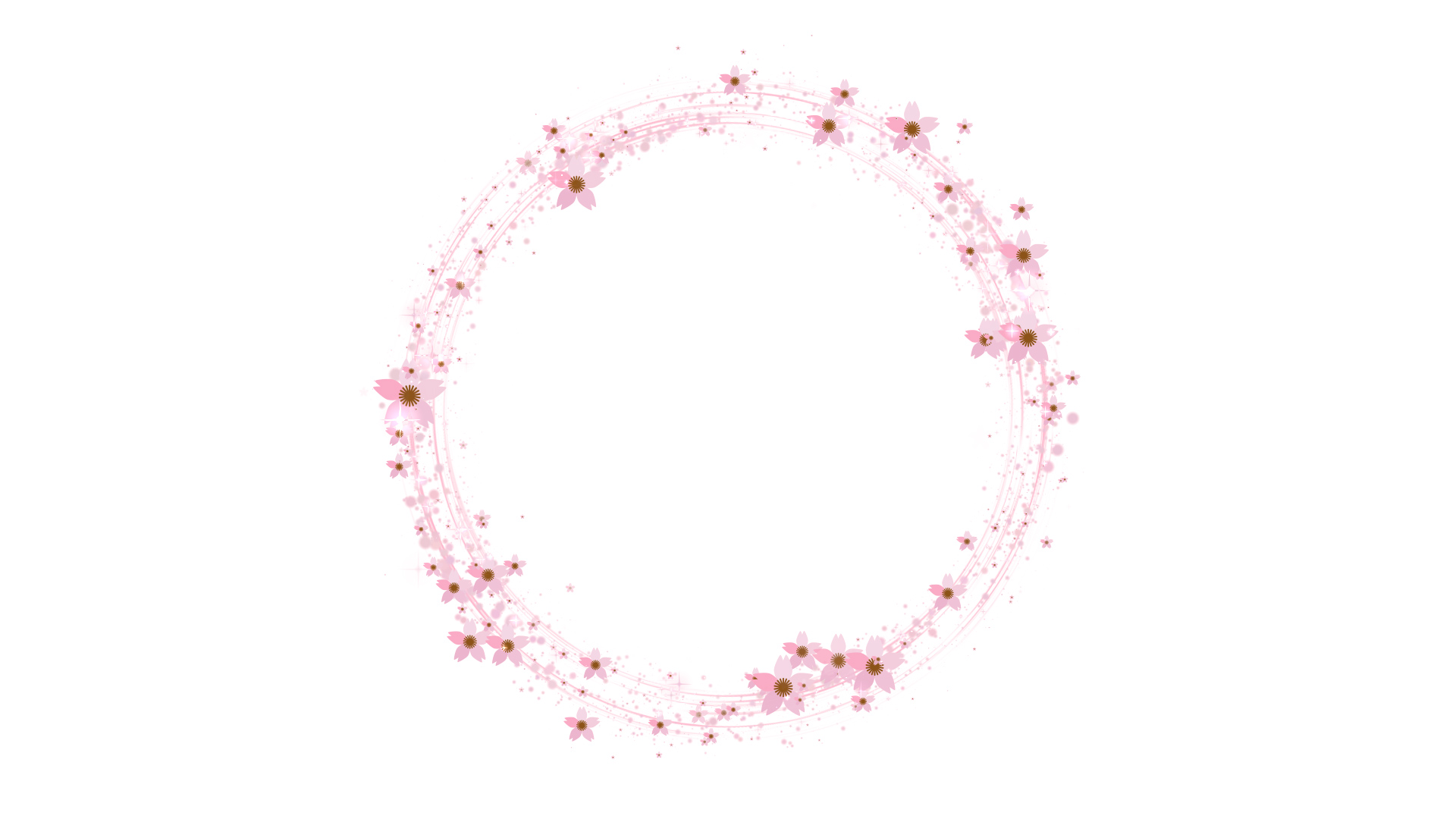 丸く光る春の桜-白バック