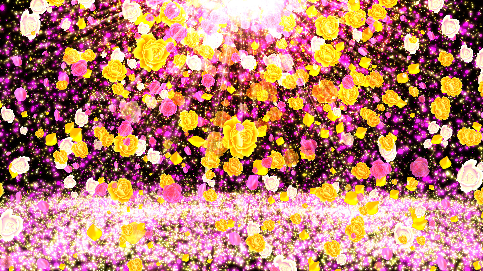 光とカラフルなバラが舞い降りる（春）