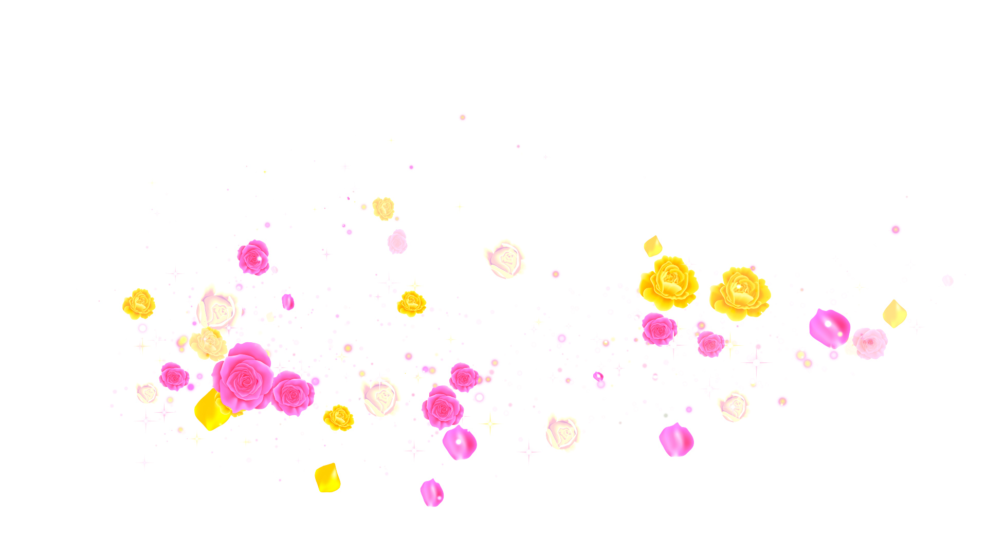 春 カラフルなバラ（回転）-白い背景