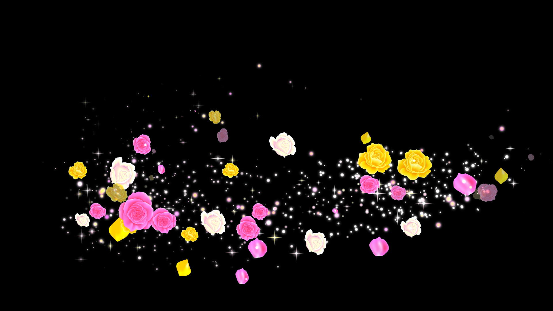 春 カラフルなバラ（回転）