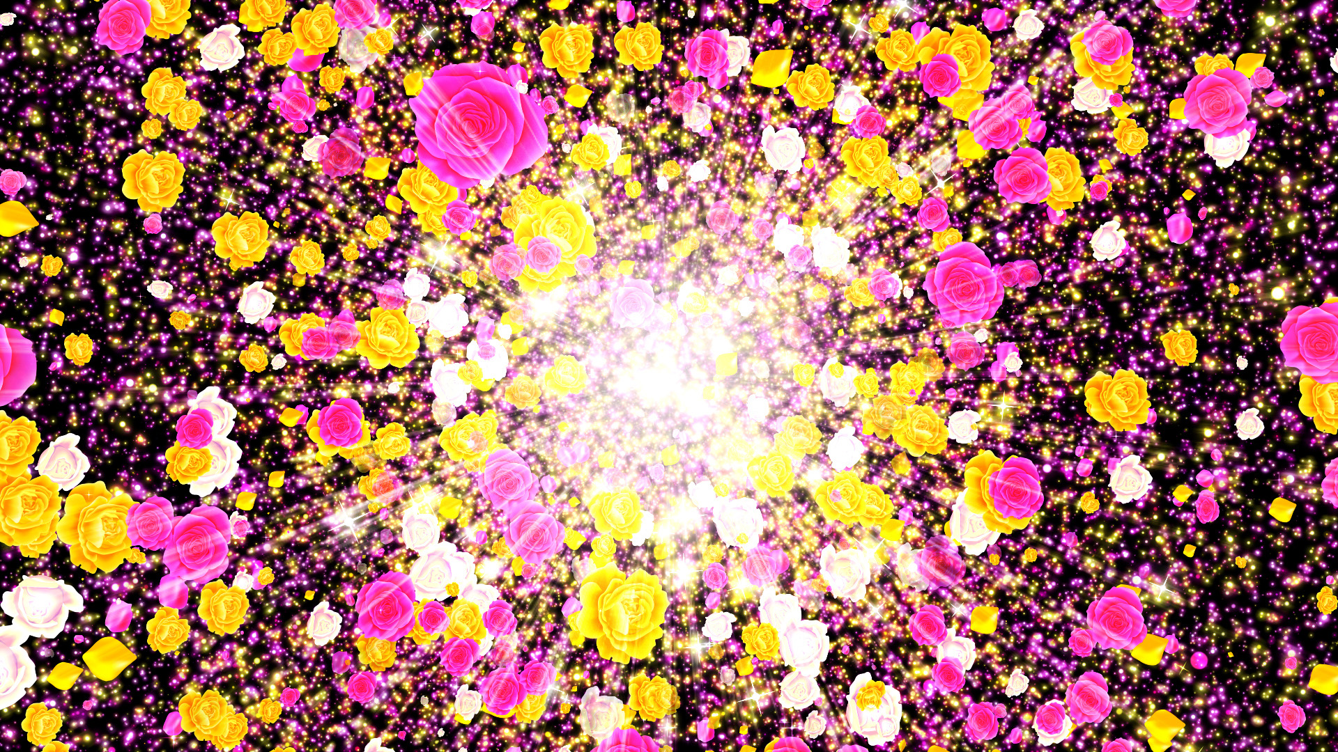 春の光（カラフルなバラ）