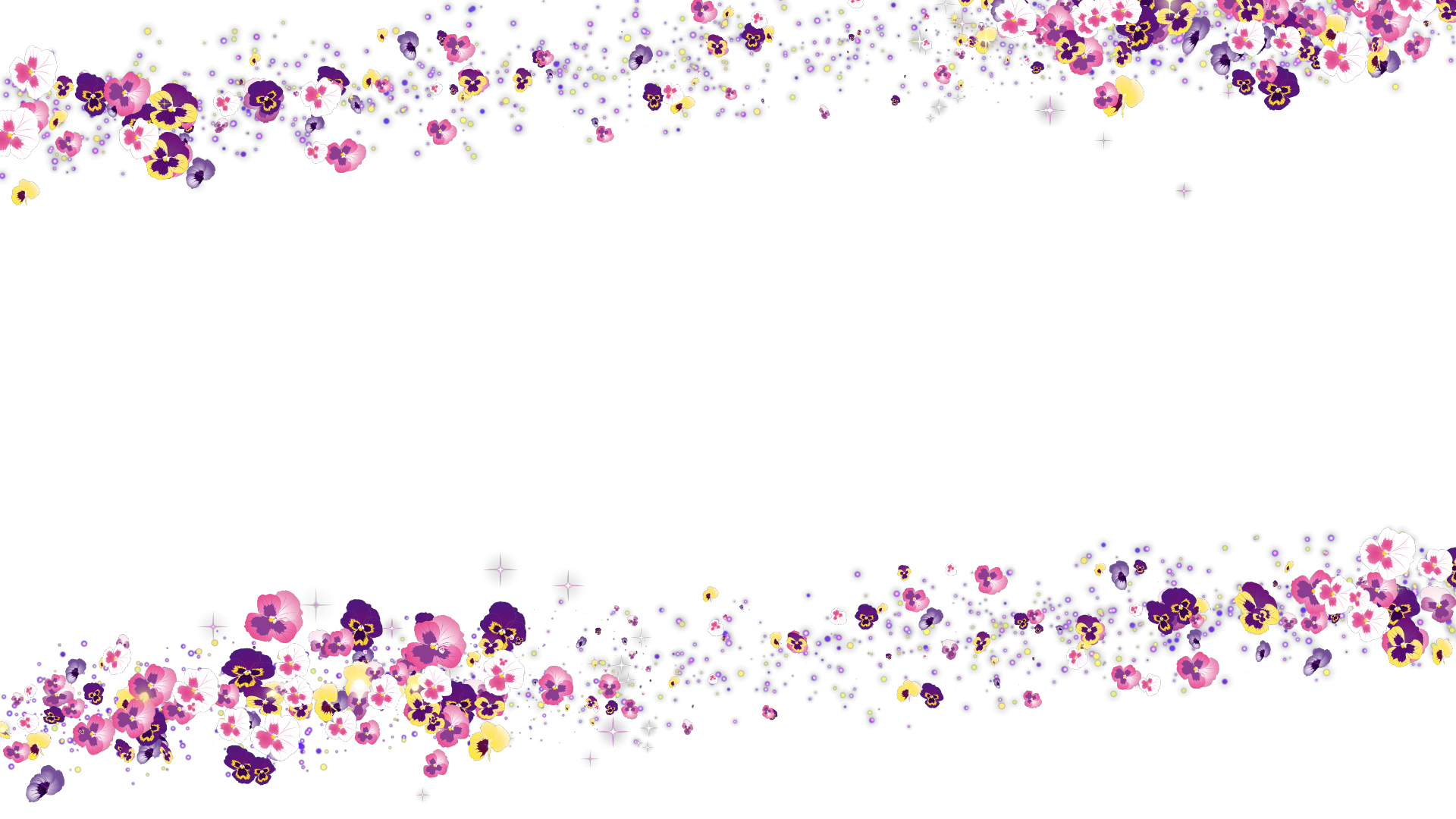 春のパンジー（フレーム）-白い背景