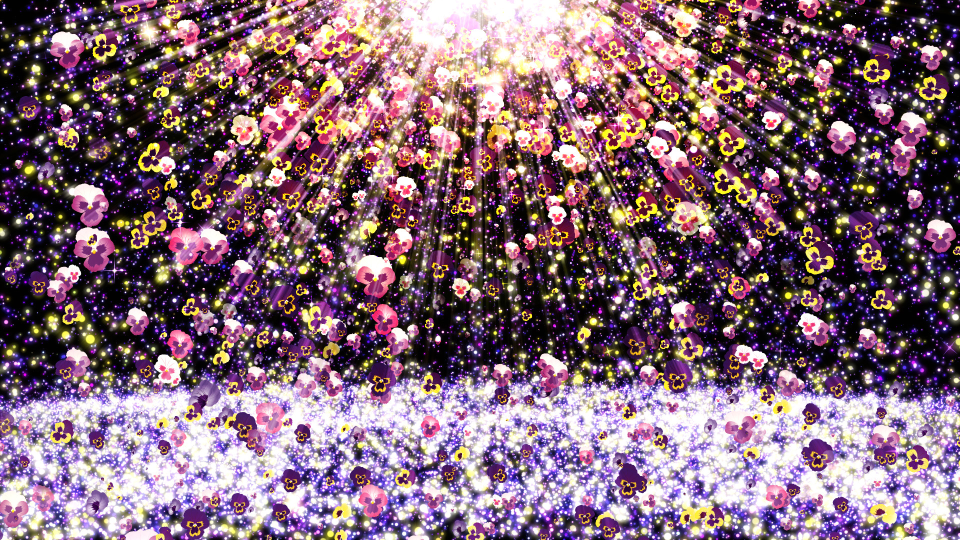 パンジーが舞い降りる（春）