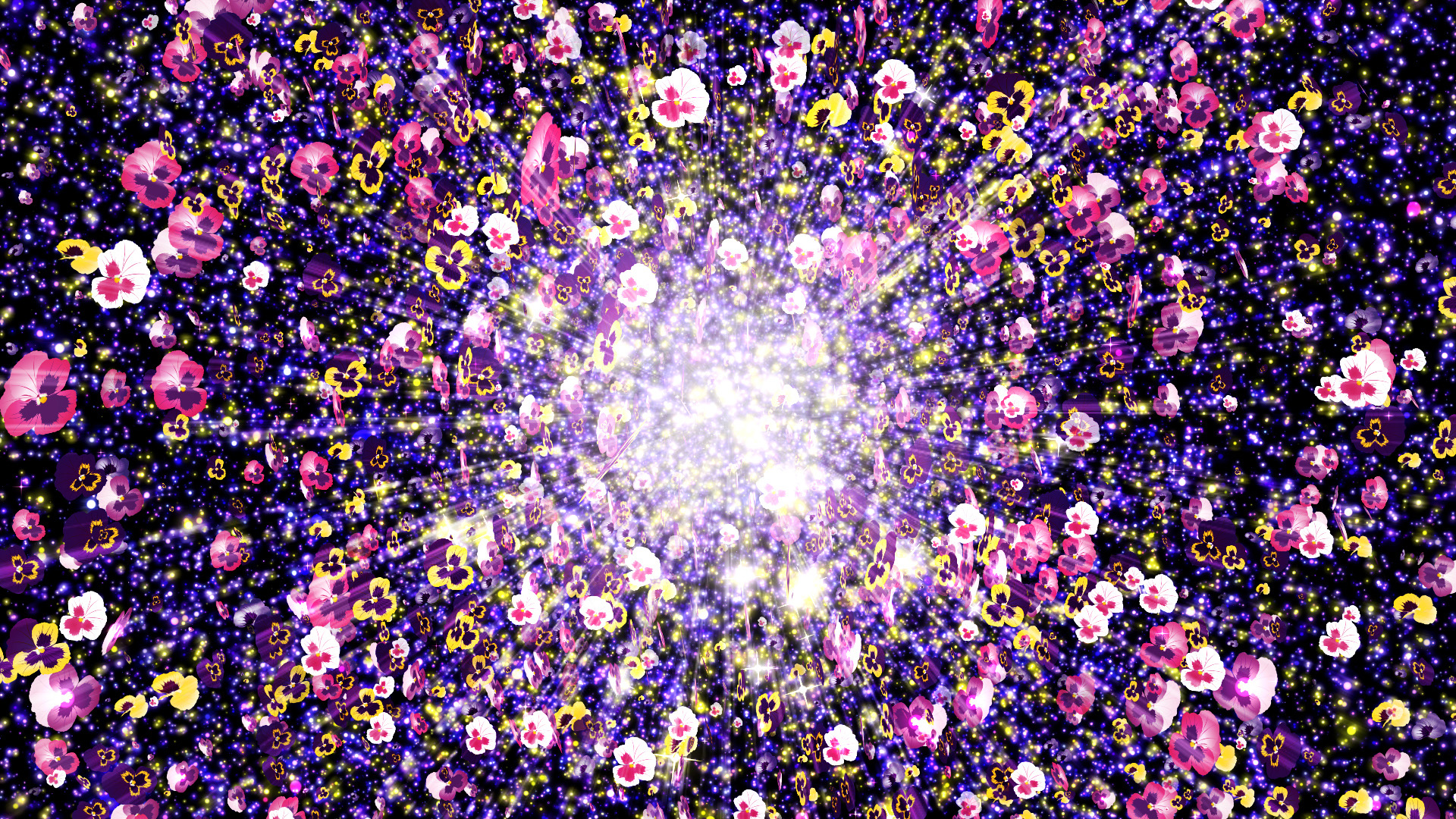 春の光（パンジー）