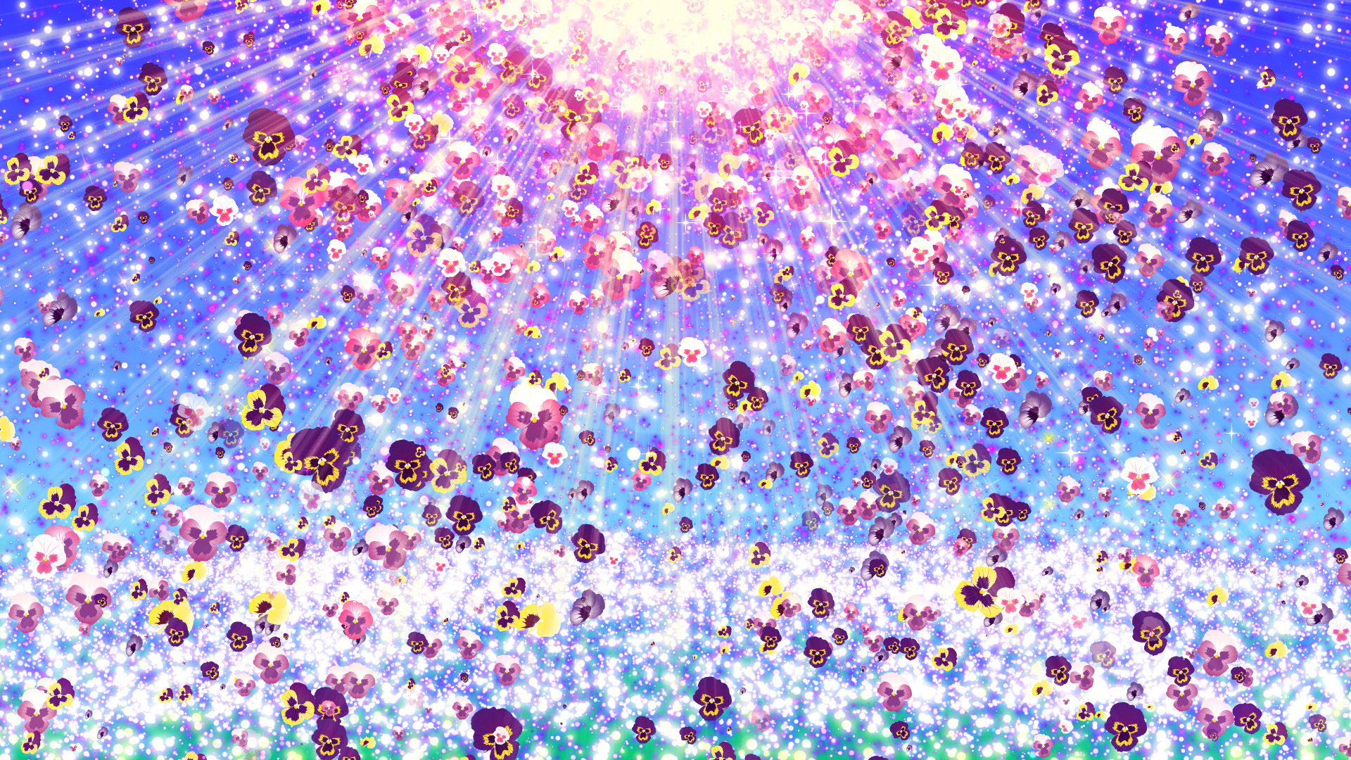 パンジーと空の光（春）