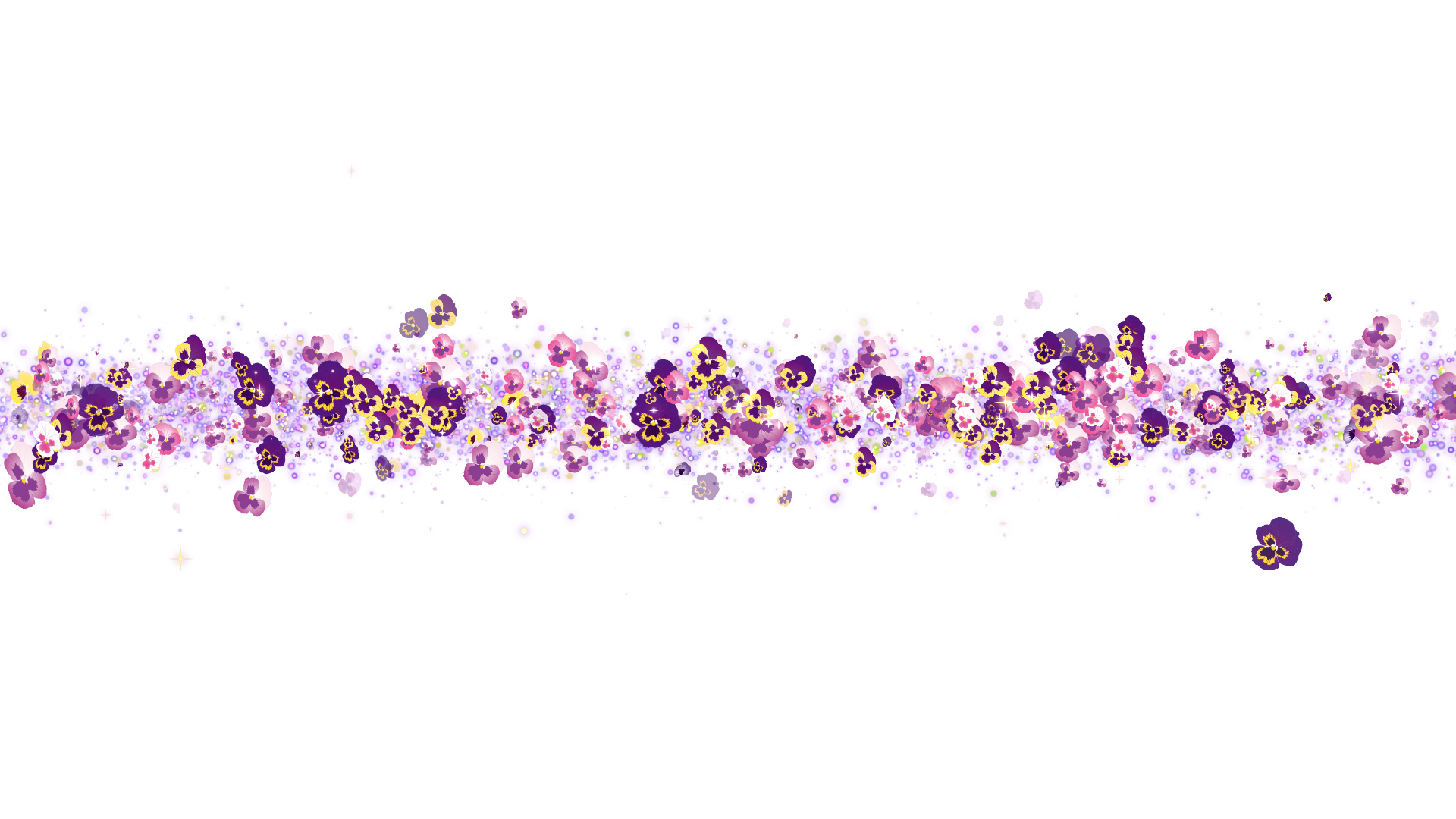 春のパンジー（タイトル用）-白い背景