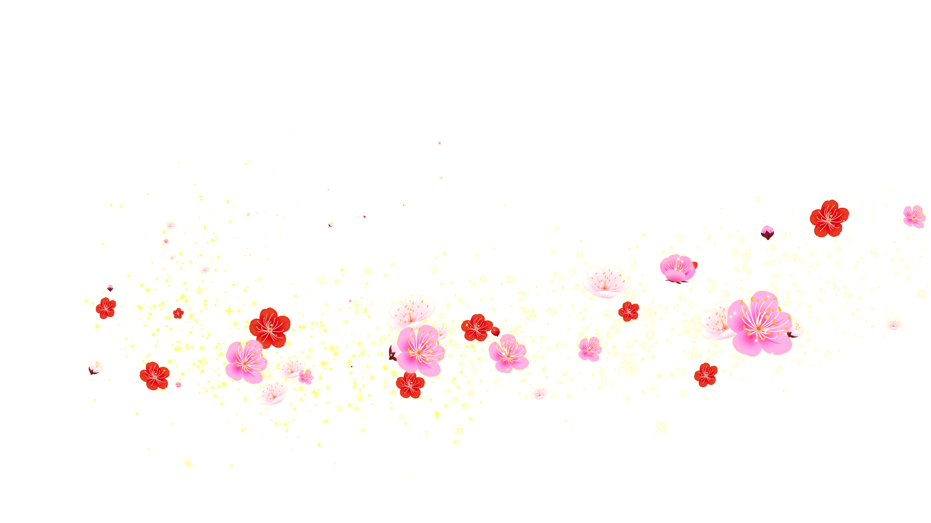 春の梅（回転）-白い背景