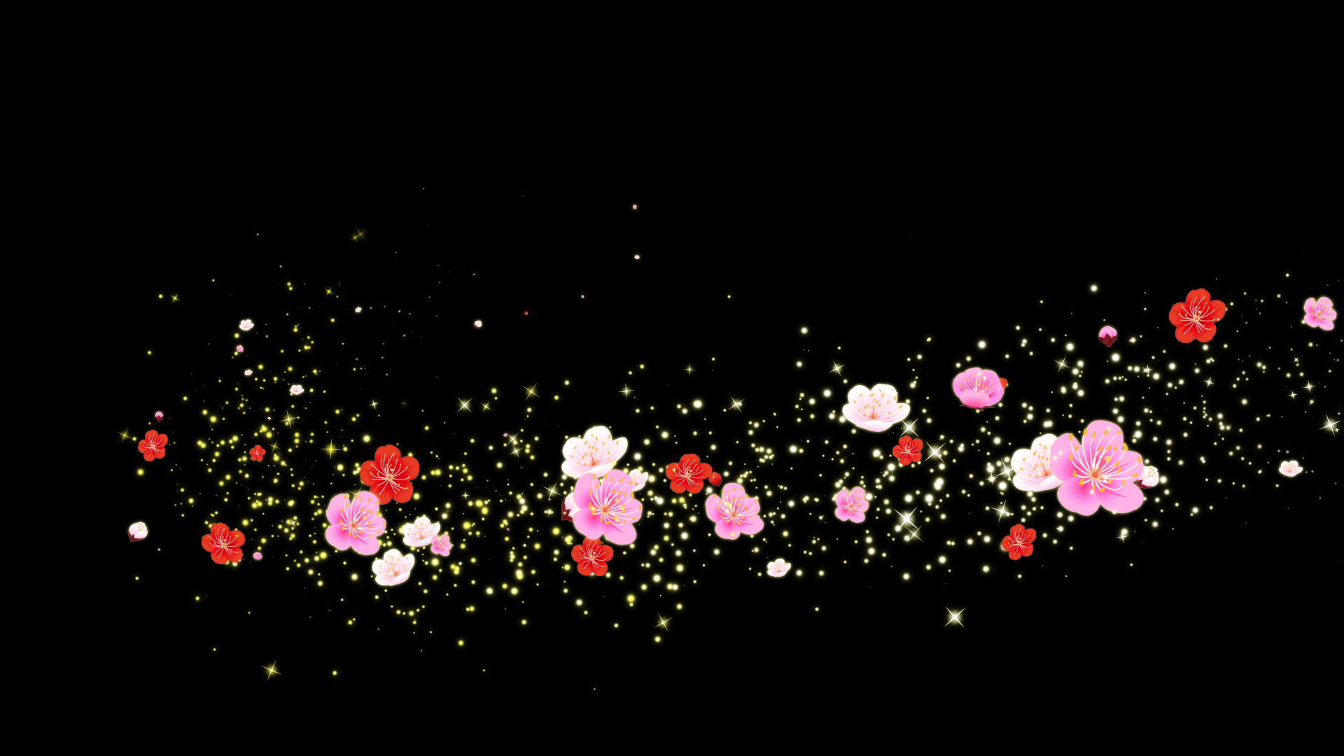 春の梅（回転）