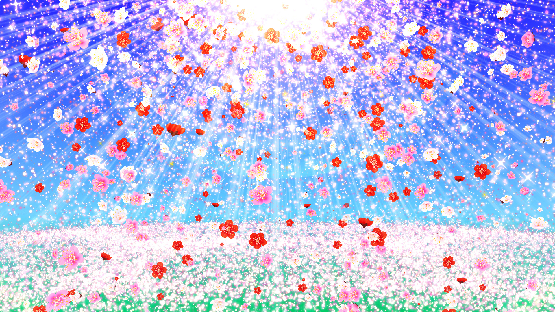 梅と空の光（春）