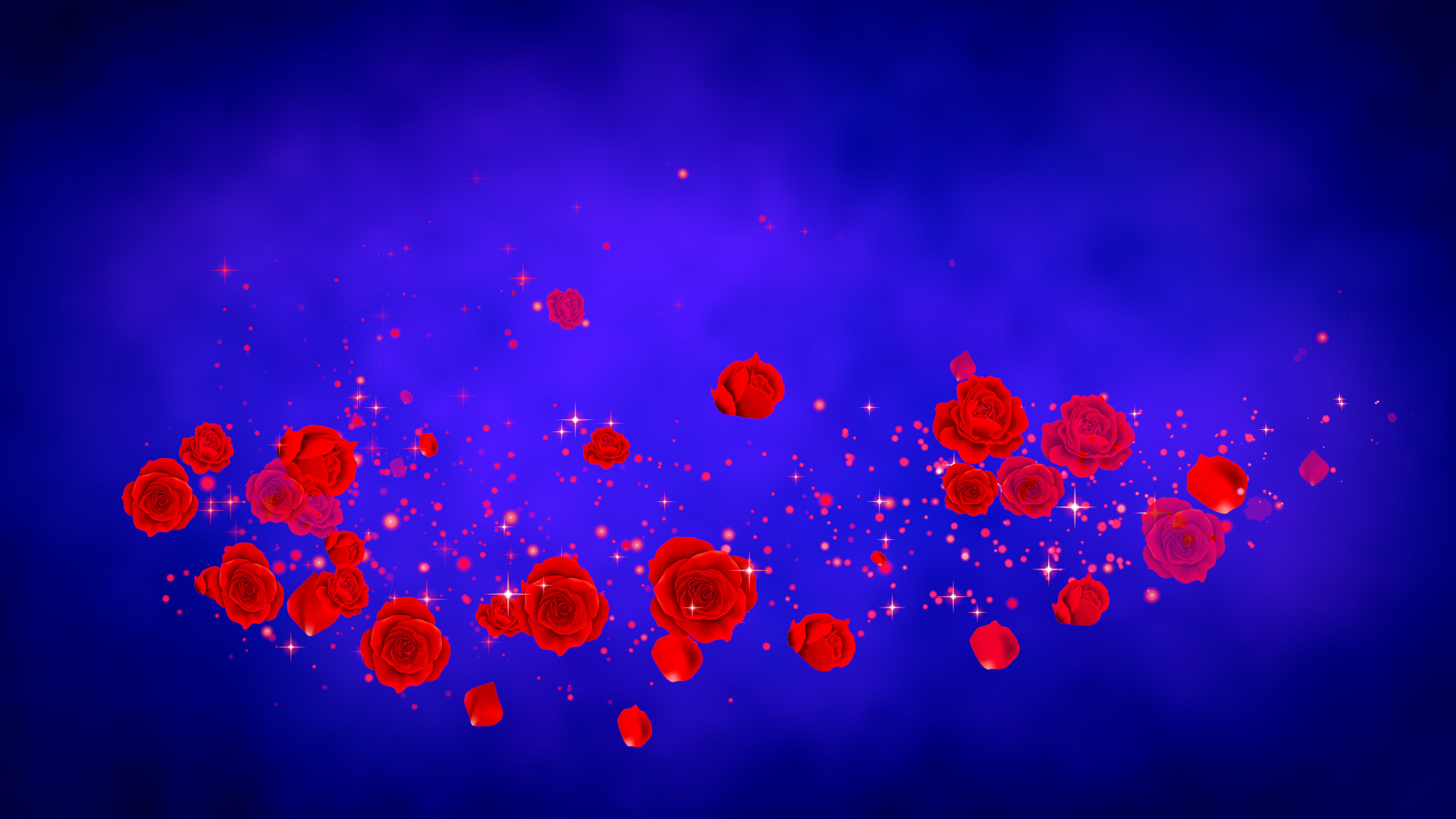 春のバラ（回転）-青い背景