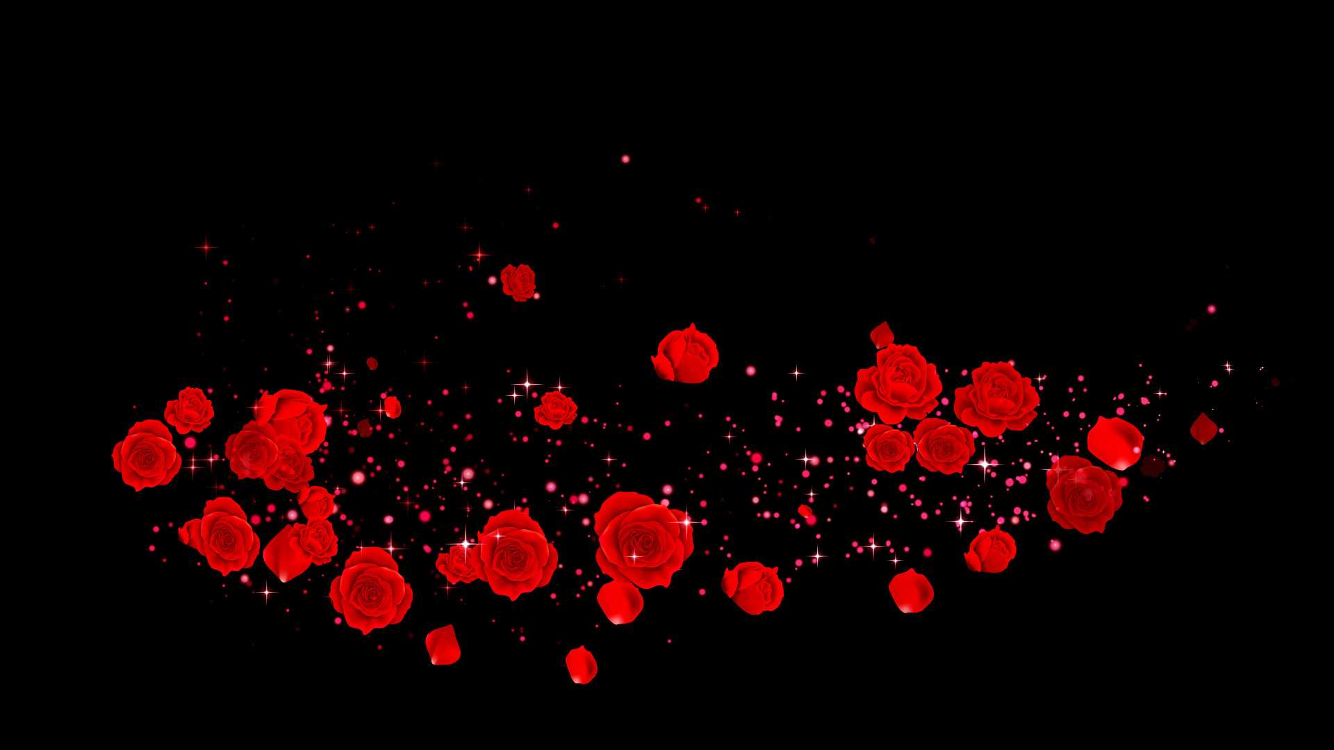 春のバラ（回転）