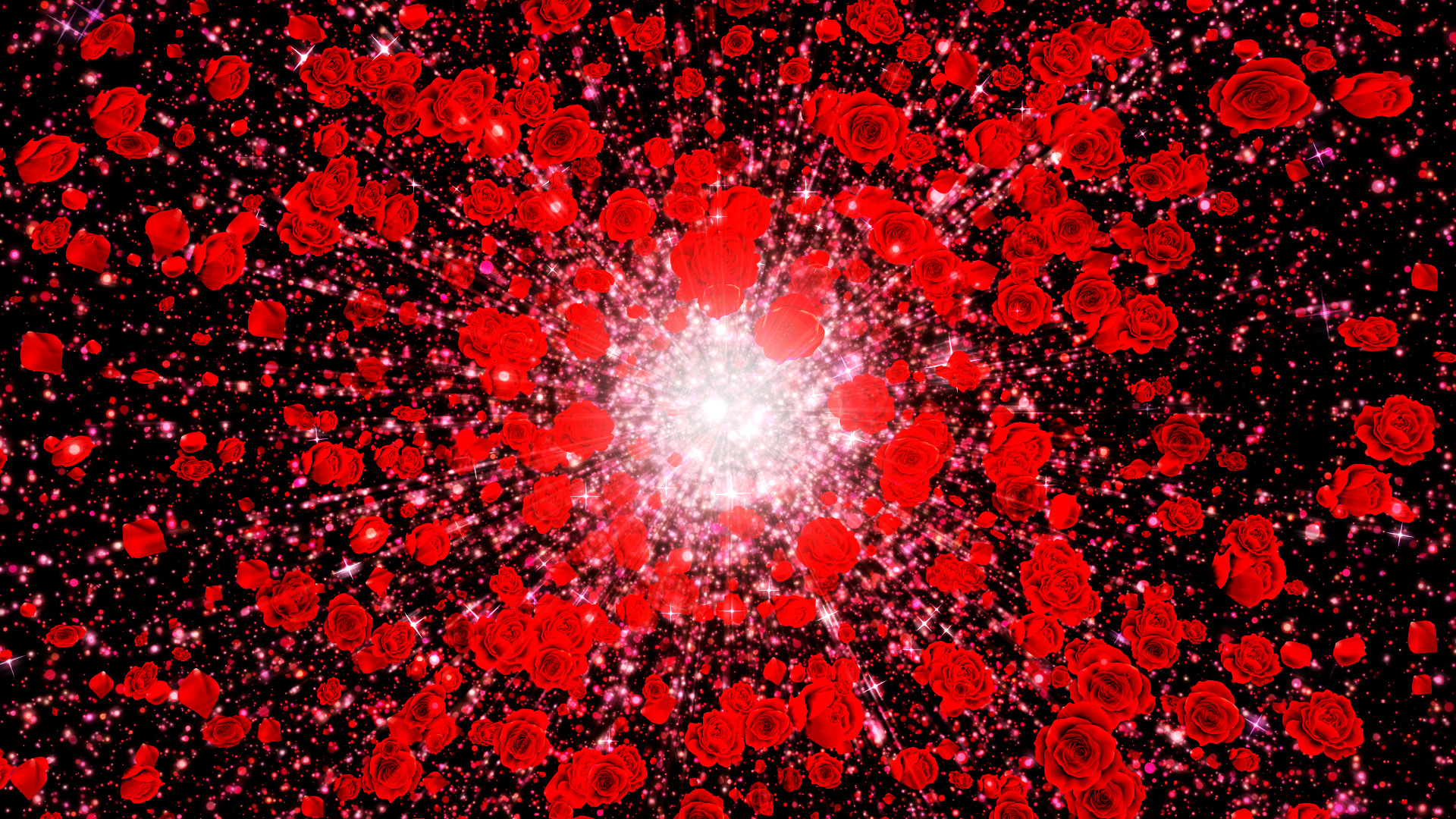 春の光（バラ）